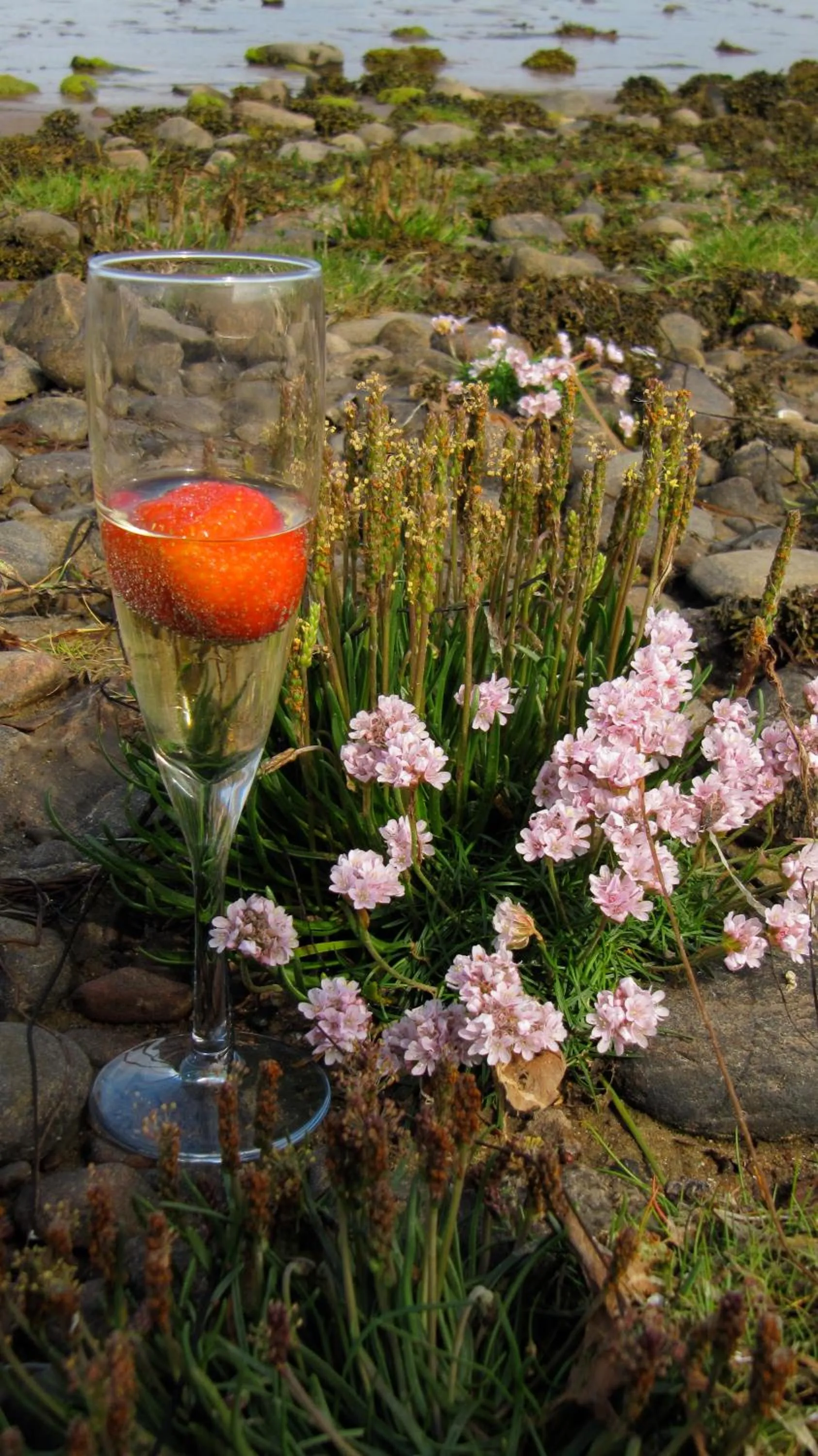 Food and drinks in Loch Ness Lodge Hotel