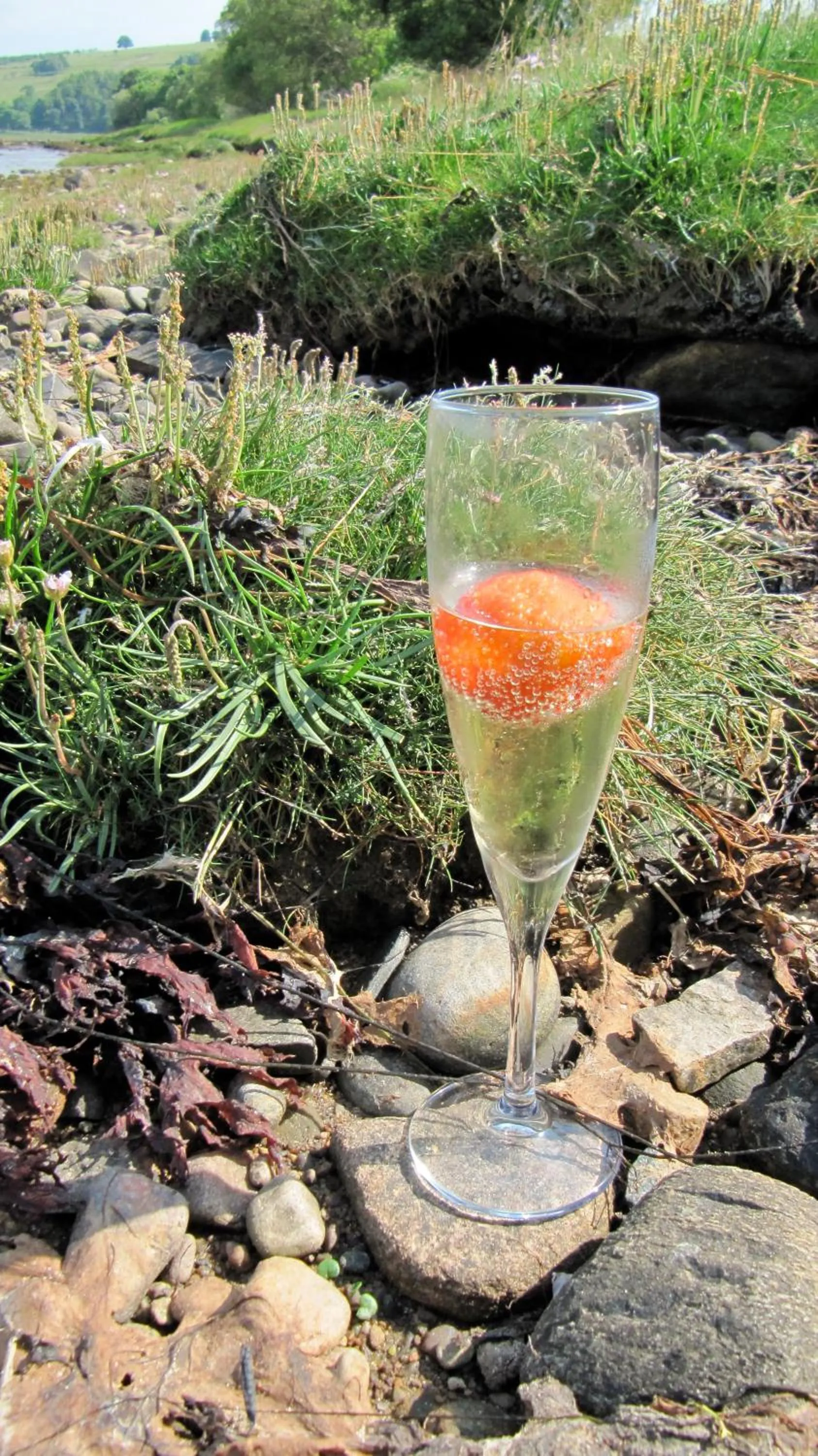 Food and drinks in Loch Ness Lodge Hotel