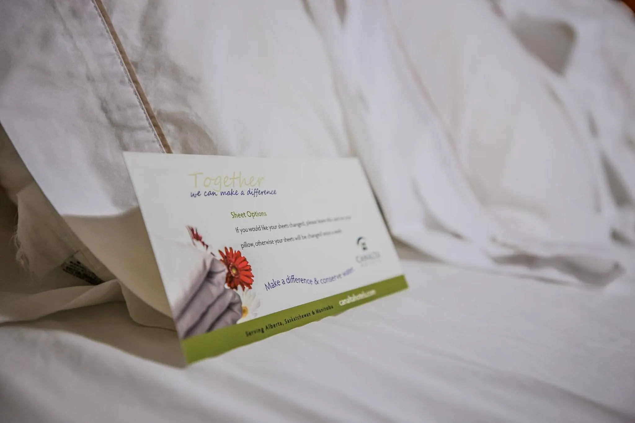 Bed in Canalta Stettler