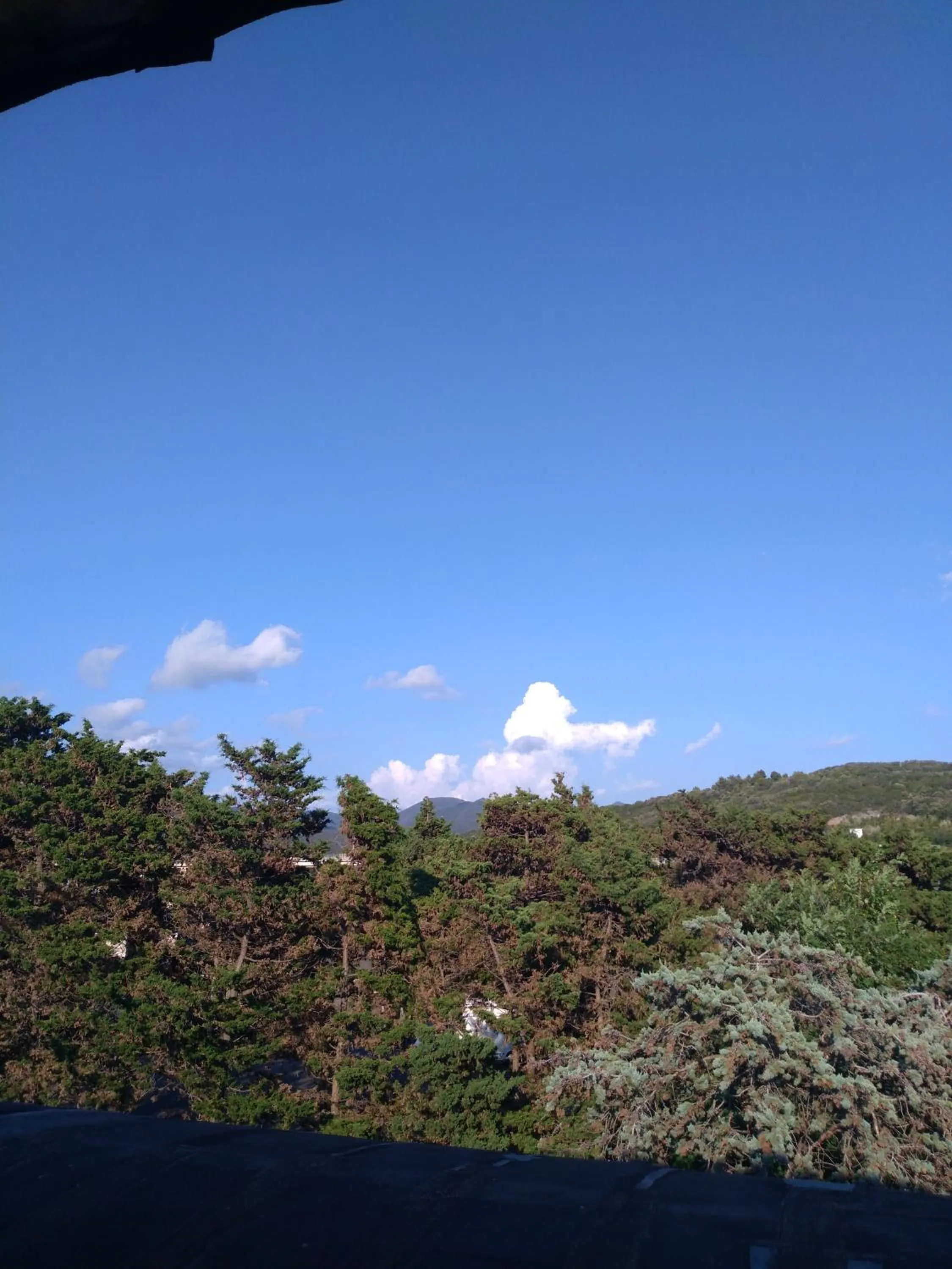 Day in Acquaviva Experience B&B