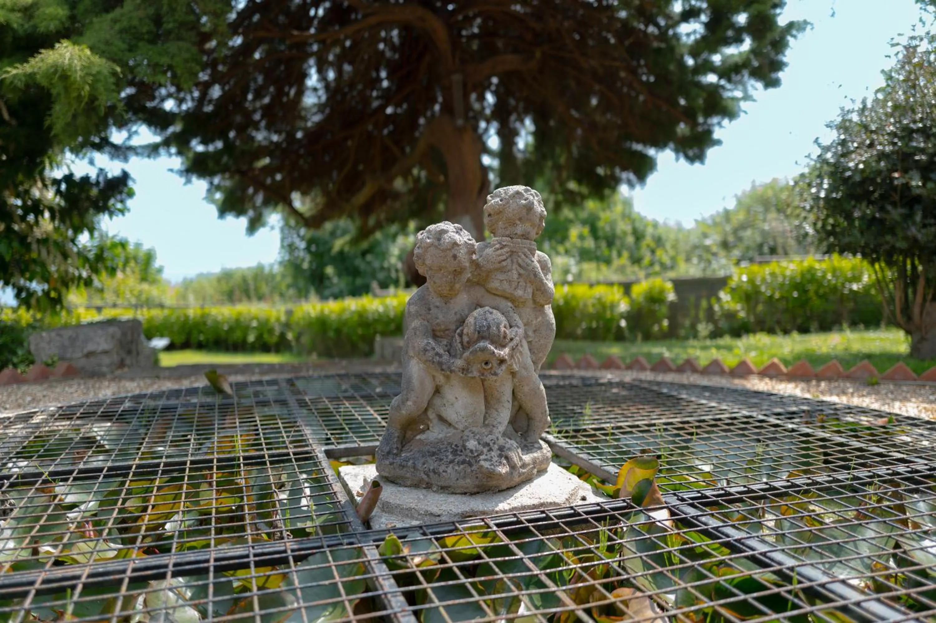 Garden in Luccombe Hall Hotel