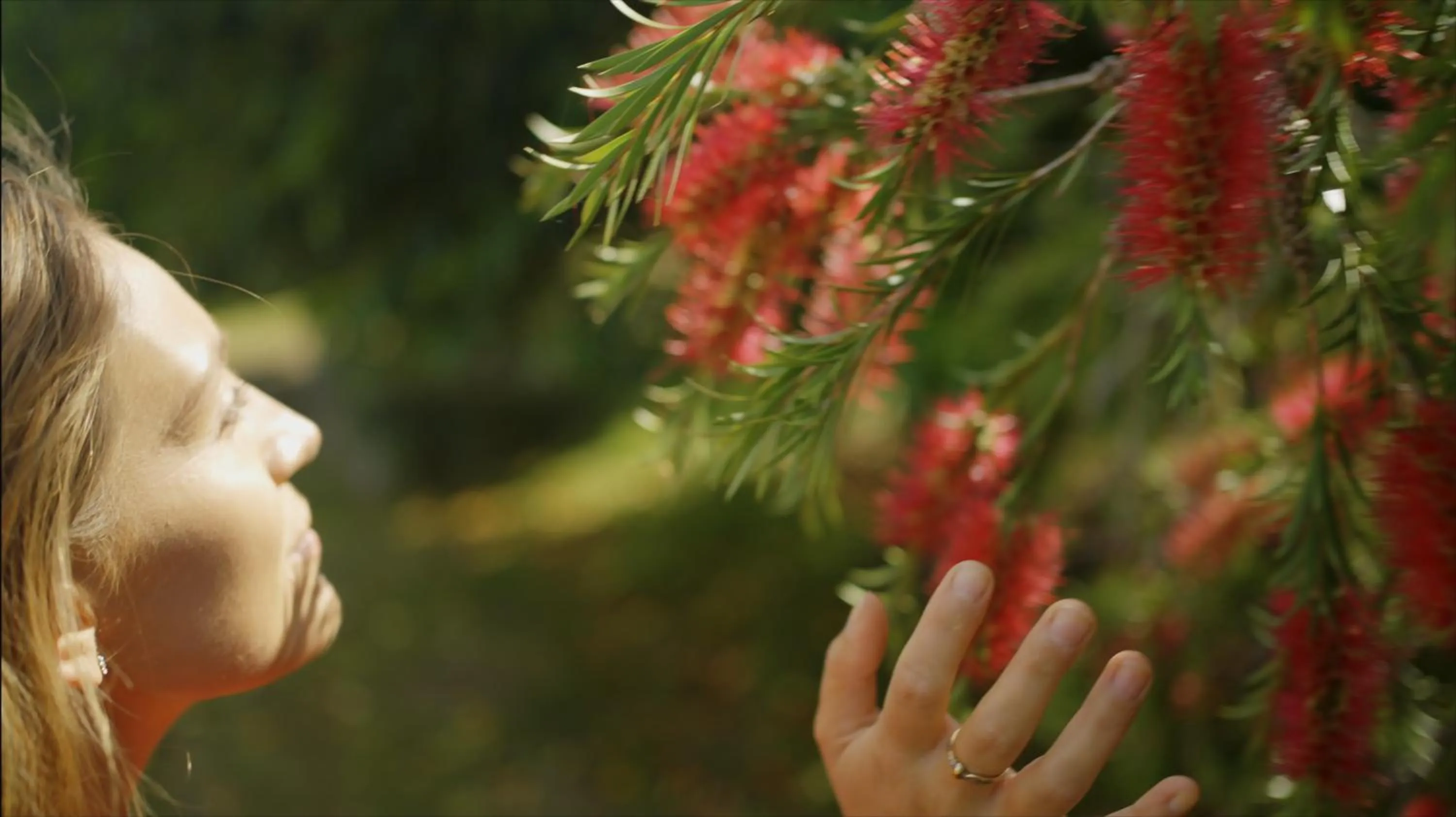 Garden in Luccombe Hall Hotel