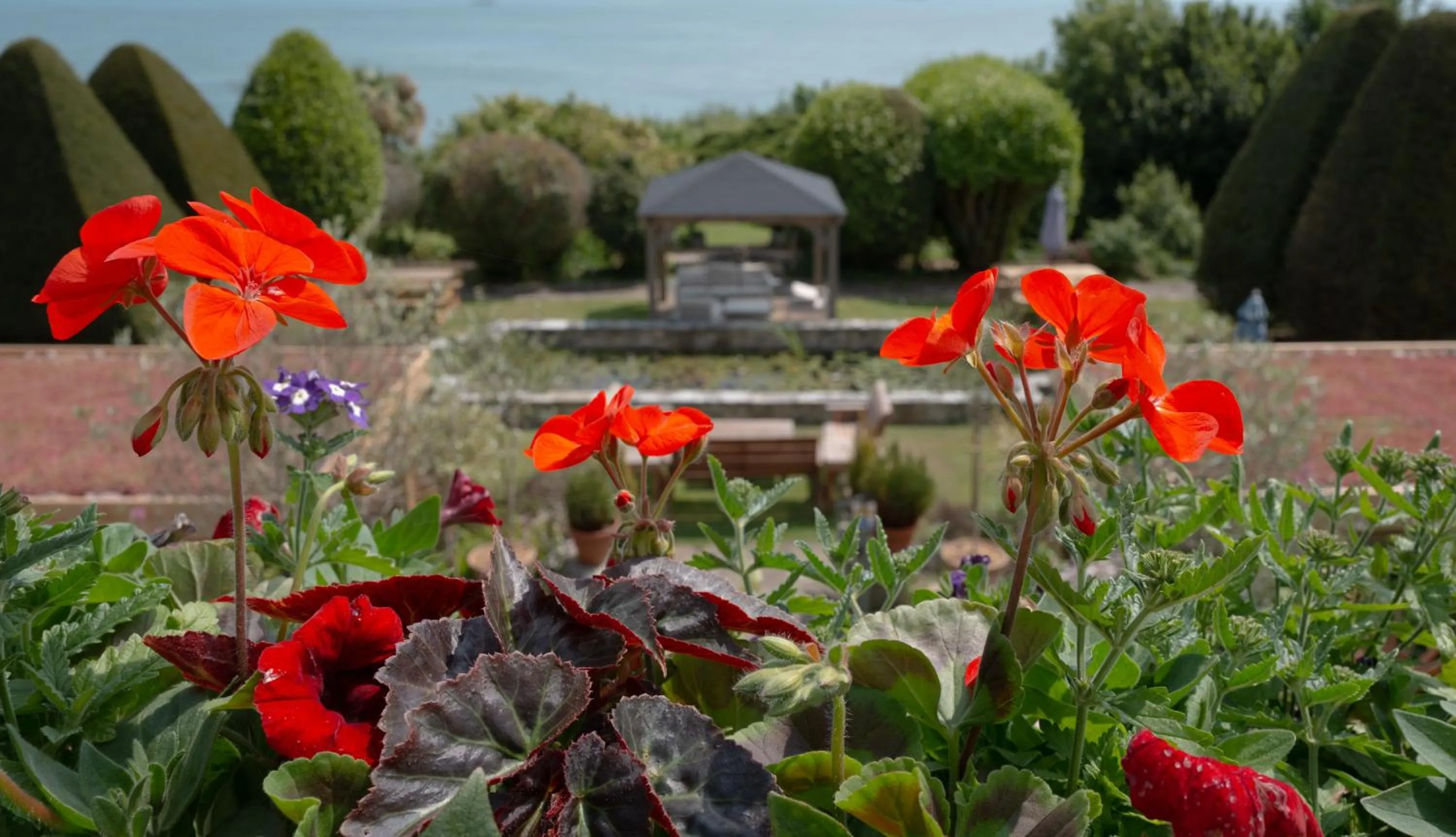 Garden in Luccombe Hall Hotel