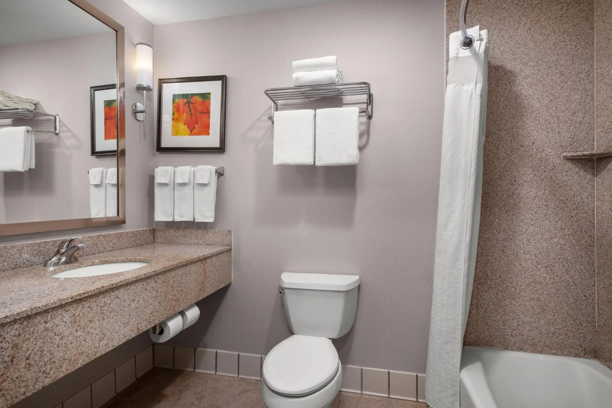 Bathroom in Holiday Inn Stevens Point - Convention Center by IHG