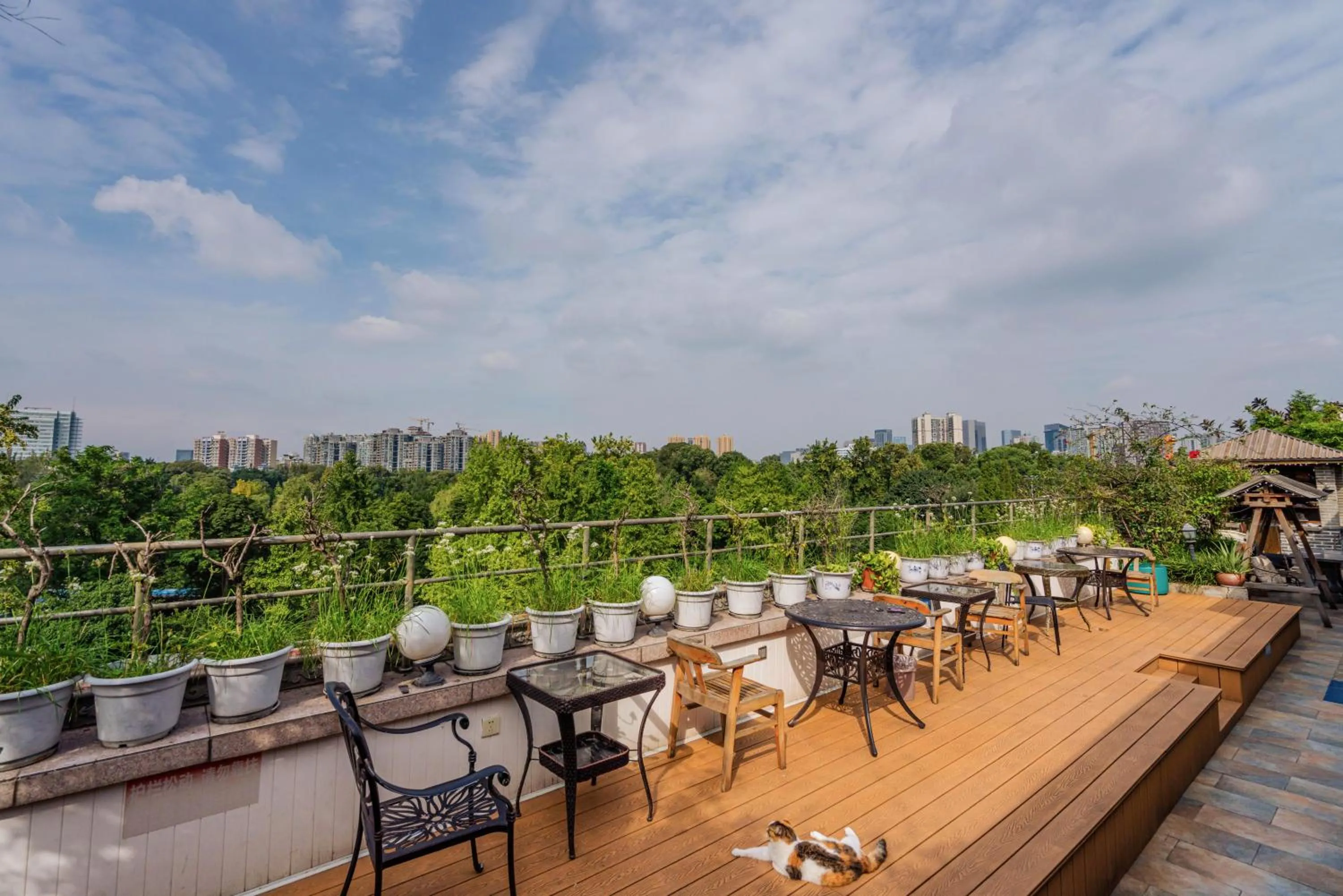 Chengdu Dreams Travel International Youth Hostel