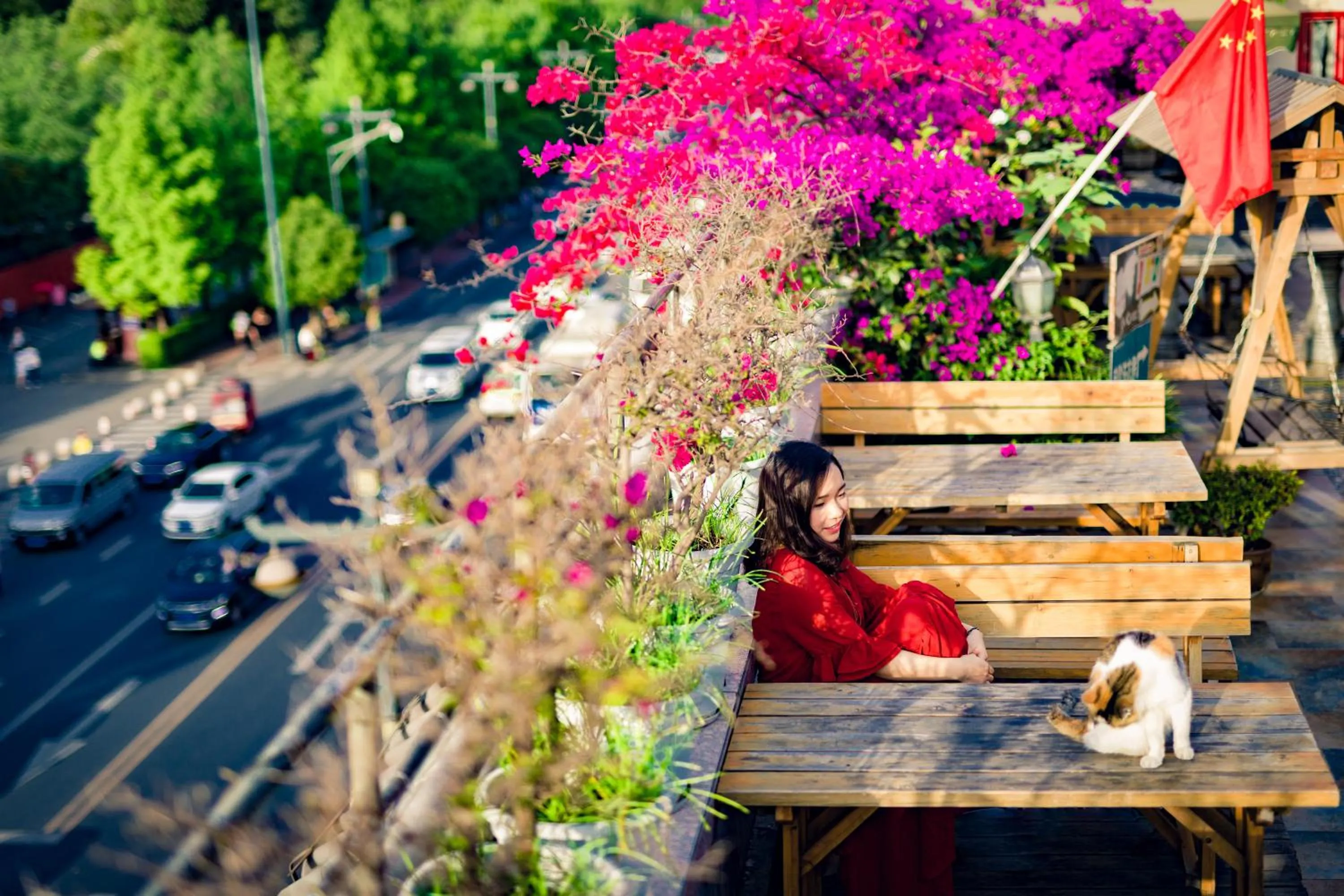 Chengdu Dreams Travel International Youth Hostel