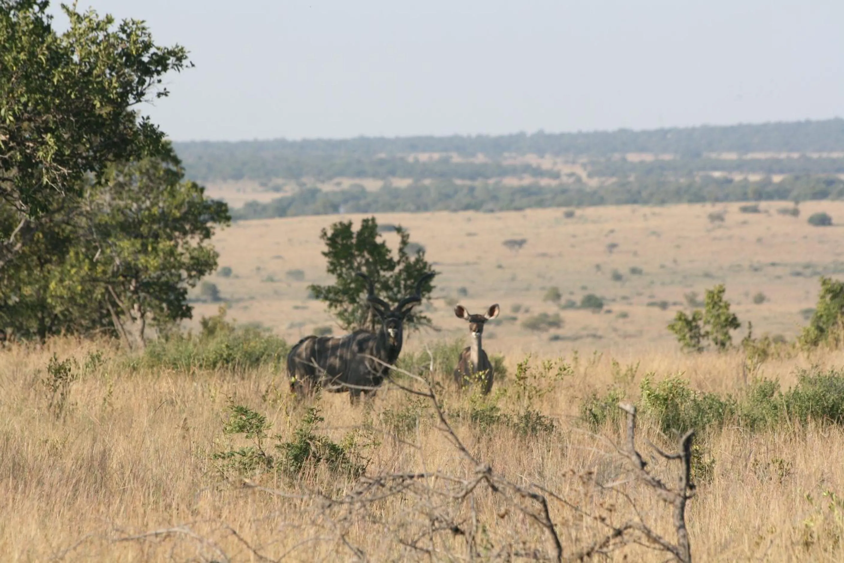 Roaring Sky Base Camp