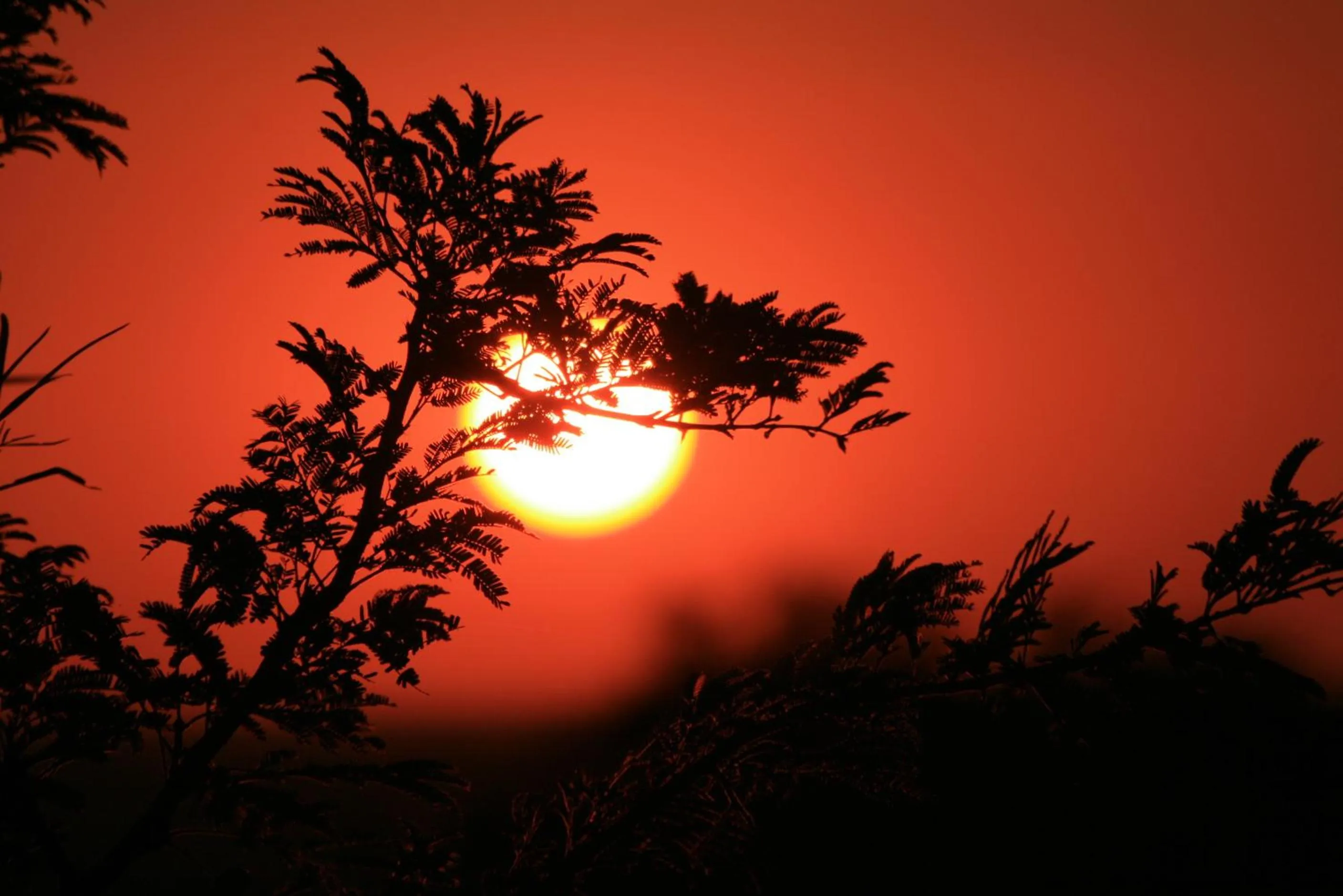 Roaring Sky Base Camp