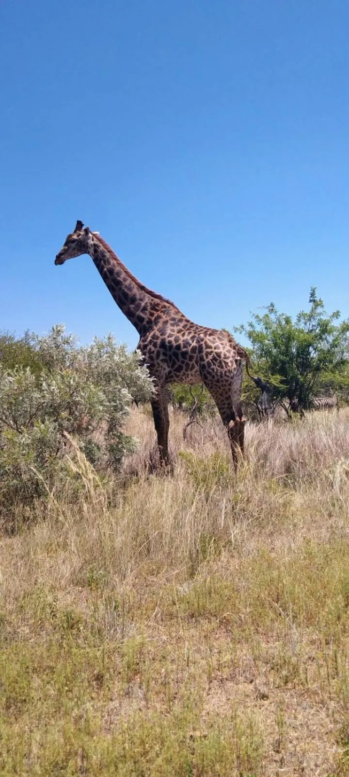 Roaring Sky Base Camp