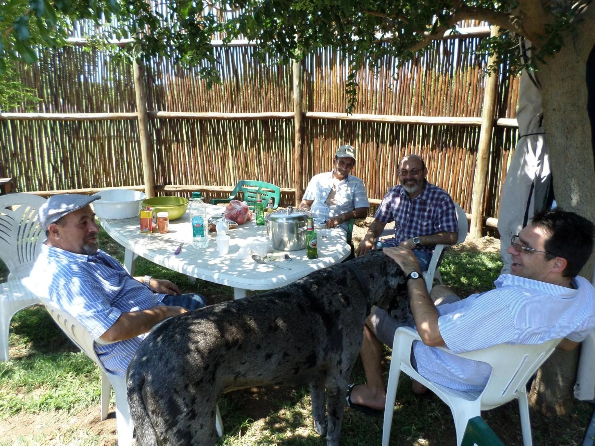 Roaring Sky Base Camp