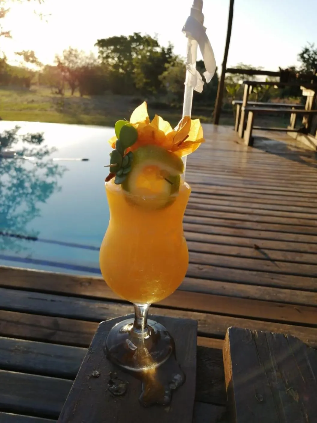 Roaring Sky Base Camp