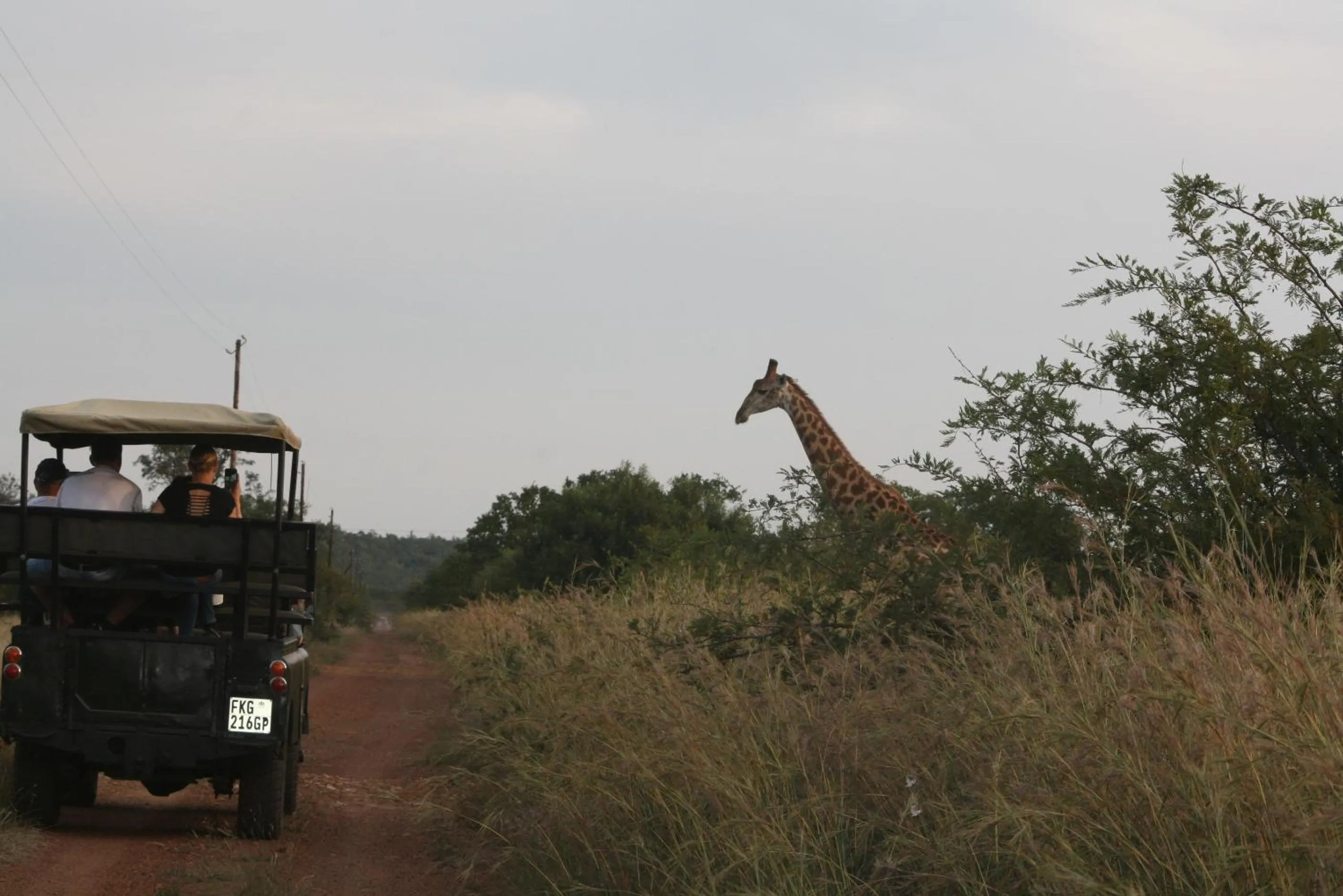 Roaring Sky Base Camp