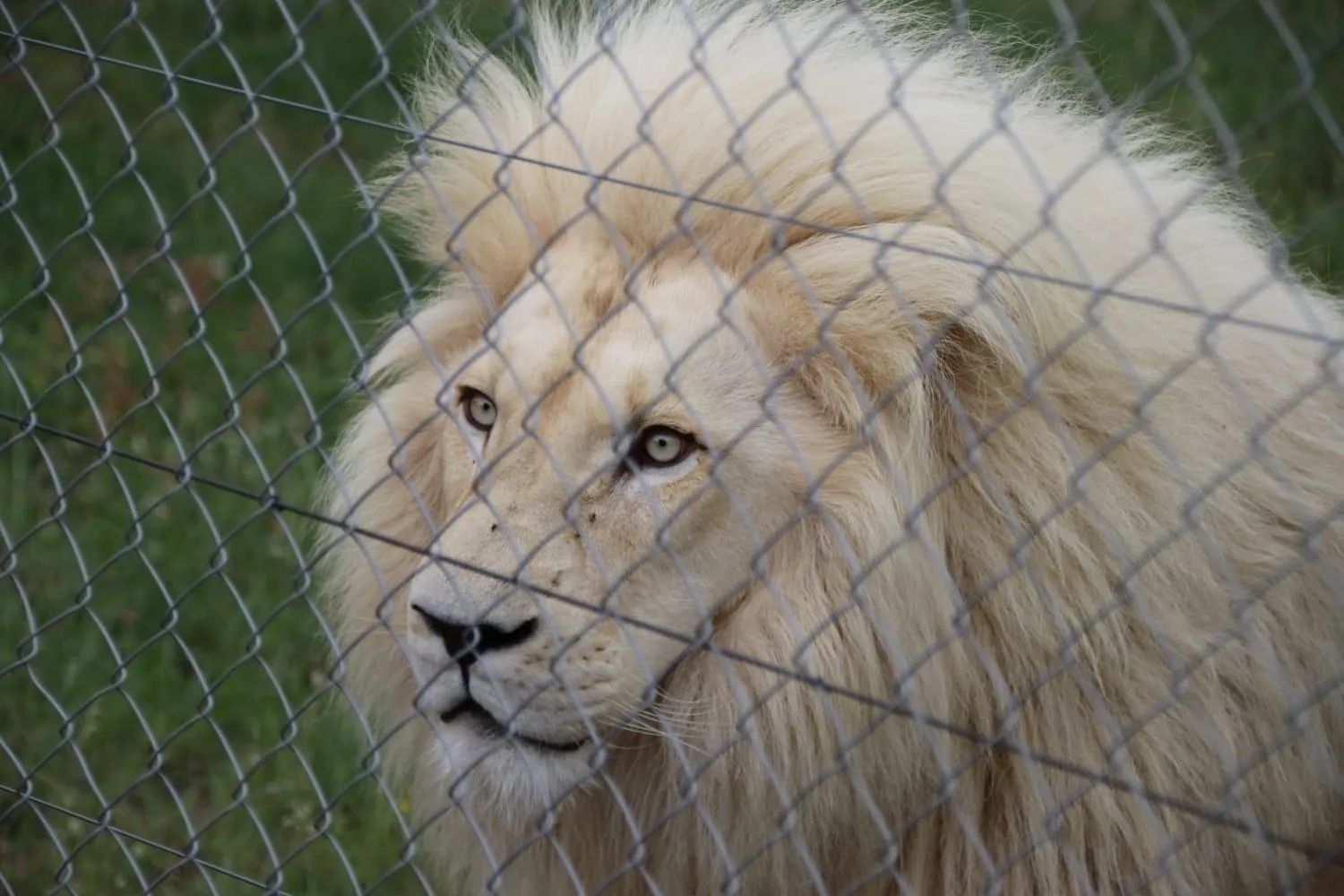 Roaring Sky Base Camp