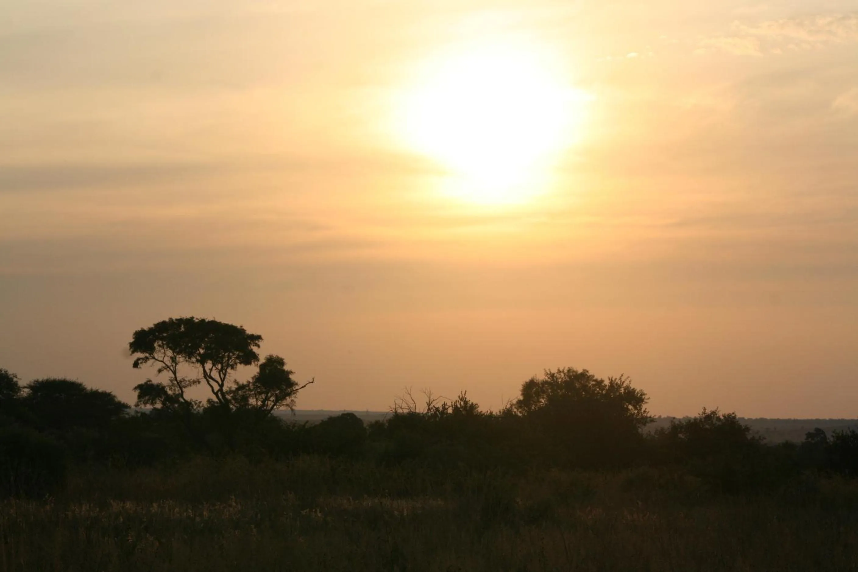 Roaring Sky Base Camp