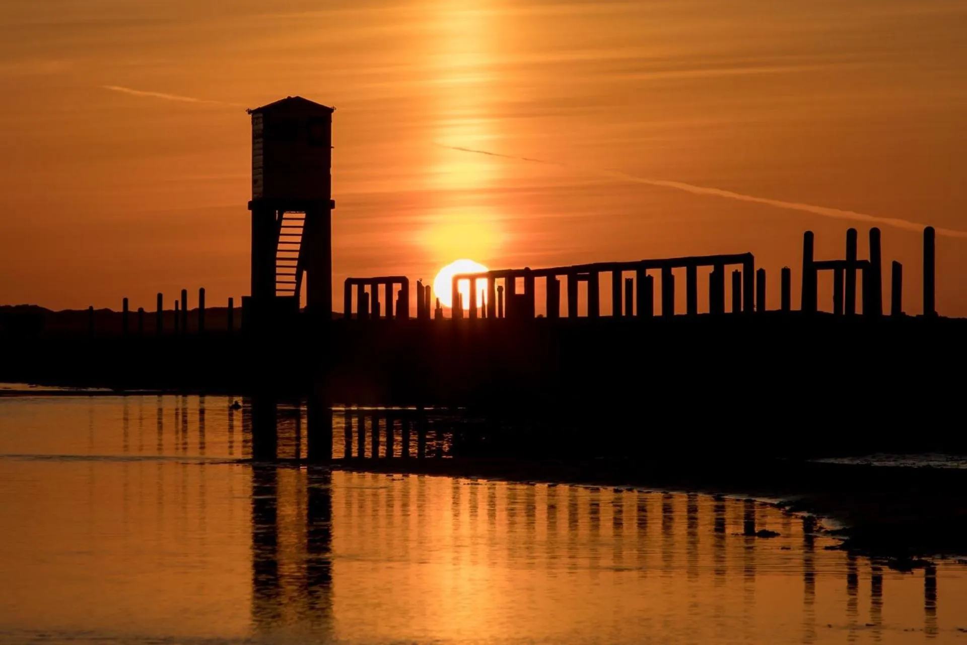 Area and facilities in Purdy Lodge