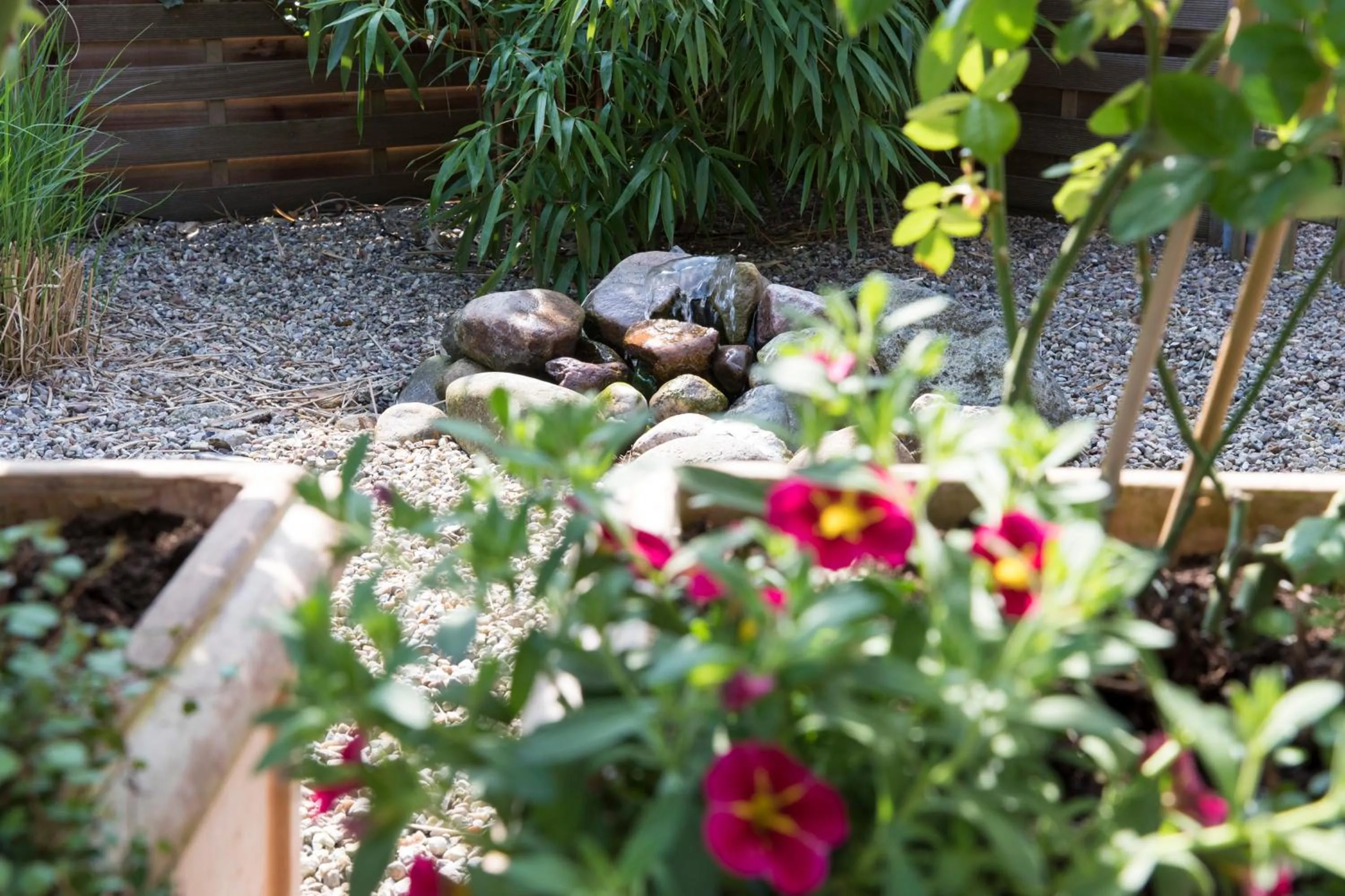 Garden in Hotel Hildebrandt's