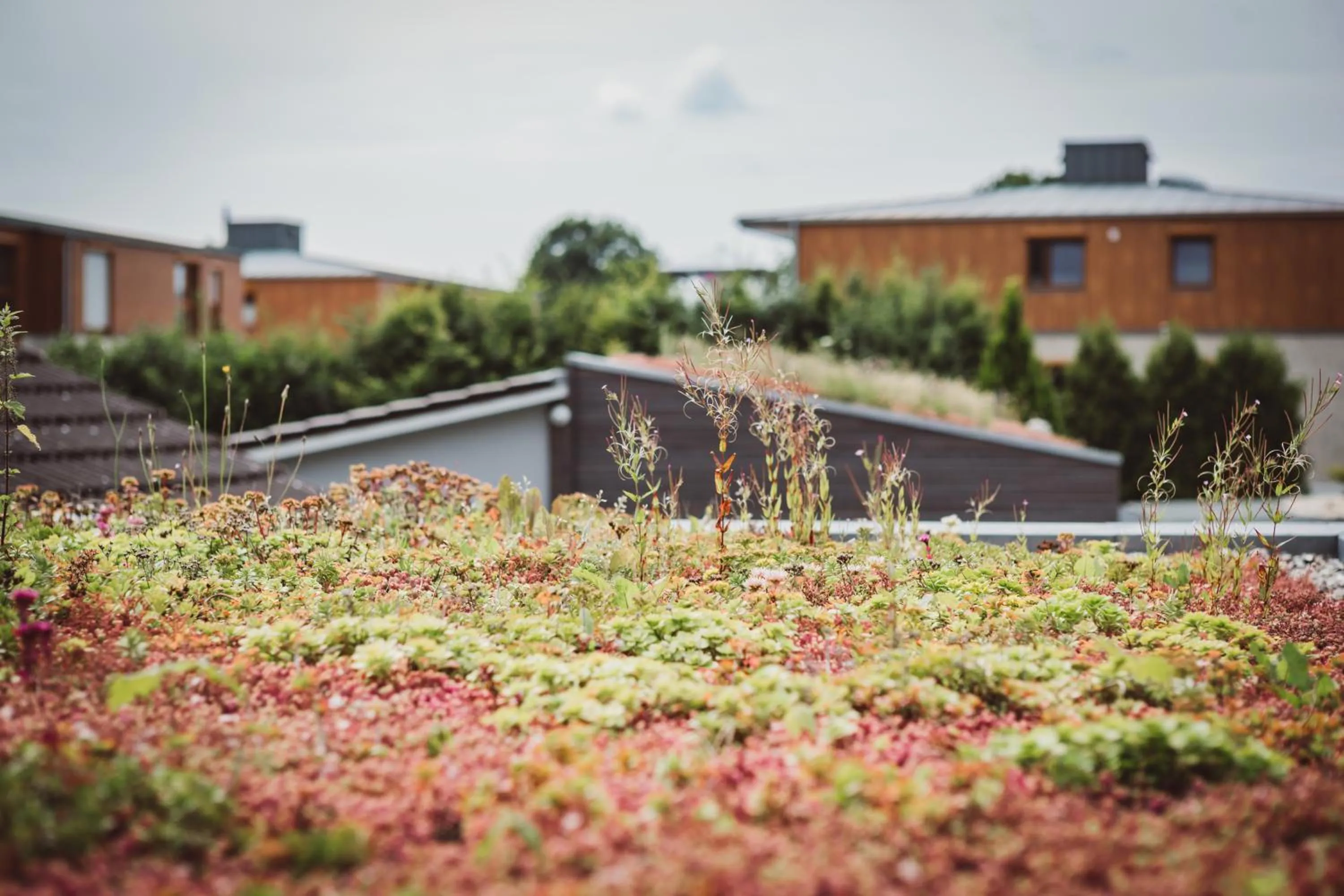 Garden view in Hotel Hildebrandt's