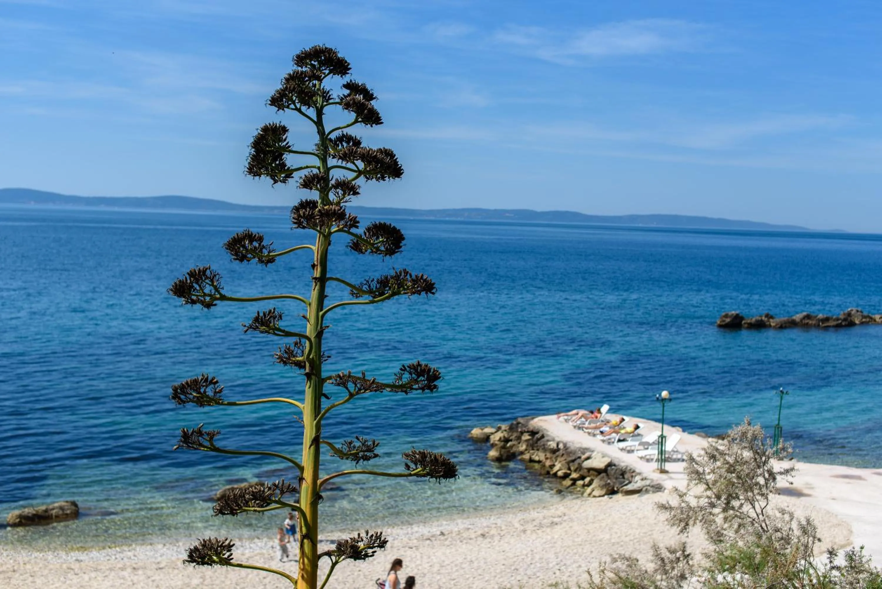 Natural landscape in Best location Rooms