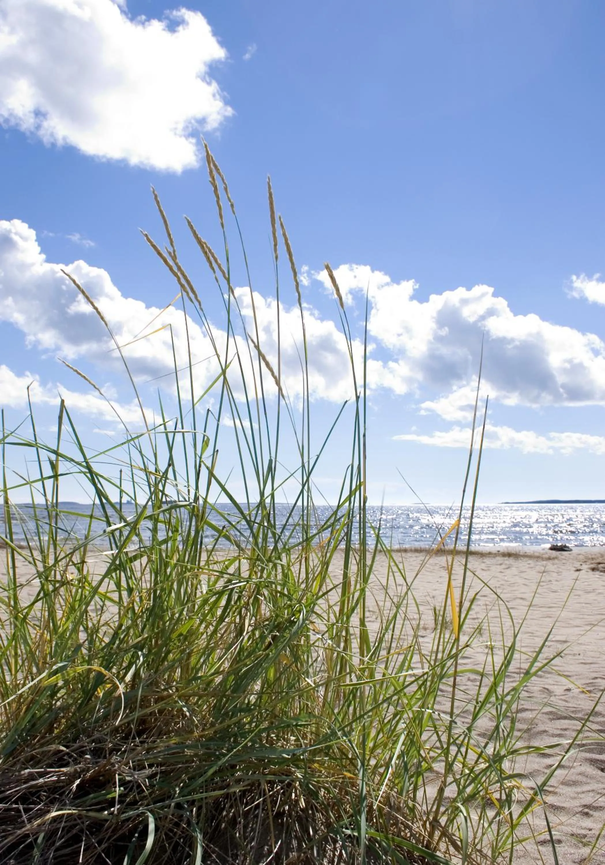 Summer in Pite Havsbad Piteå