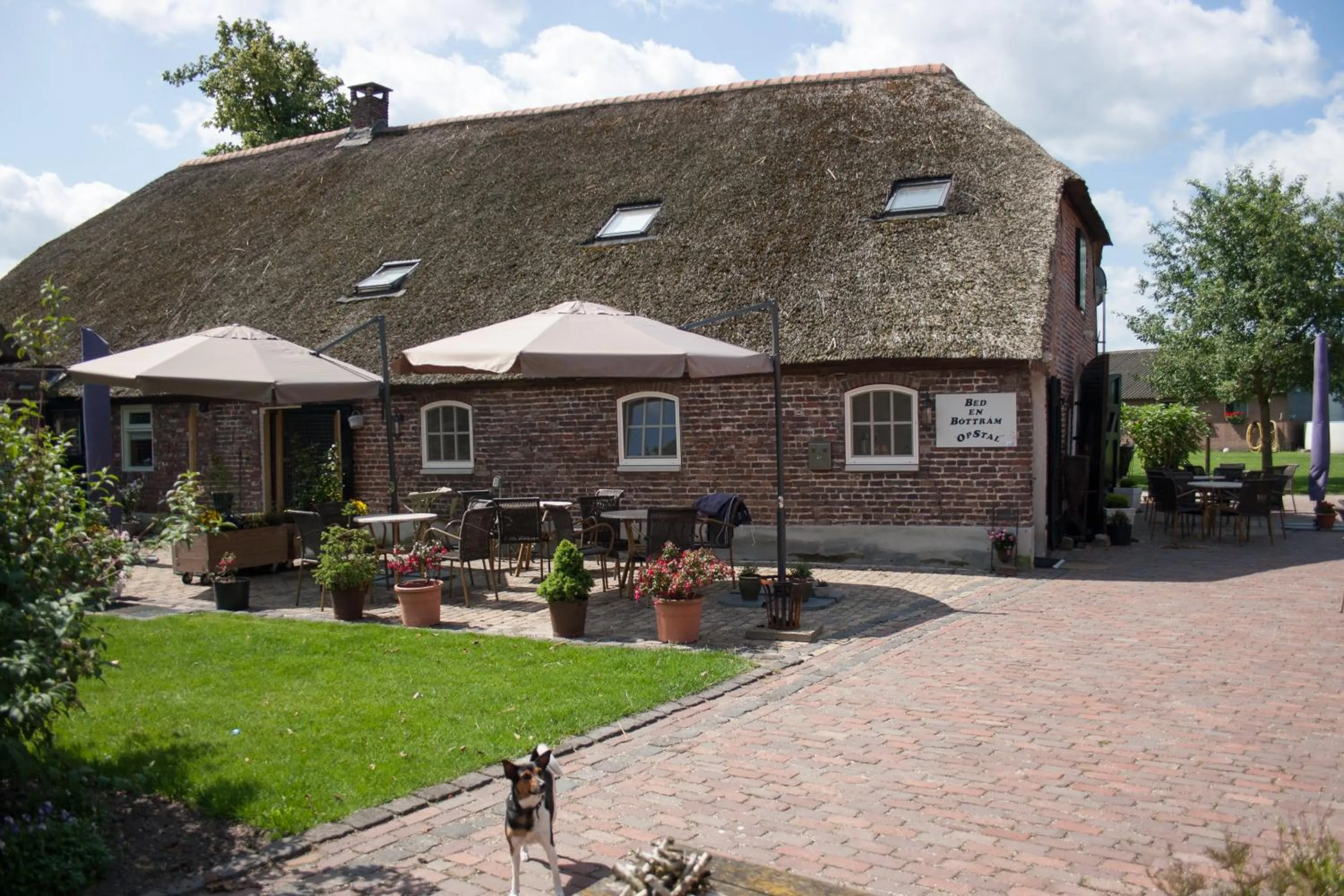 Balcony/Terrace in De Martiene Plats - Bed & Breakfast