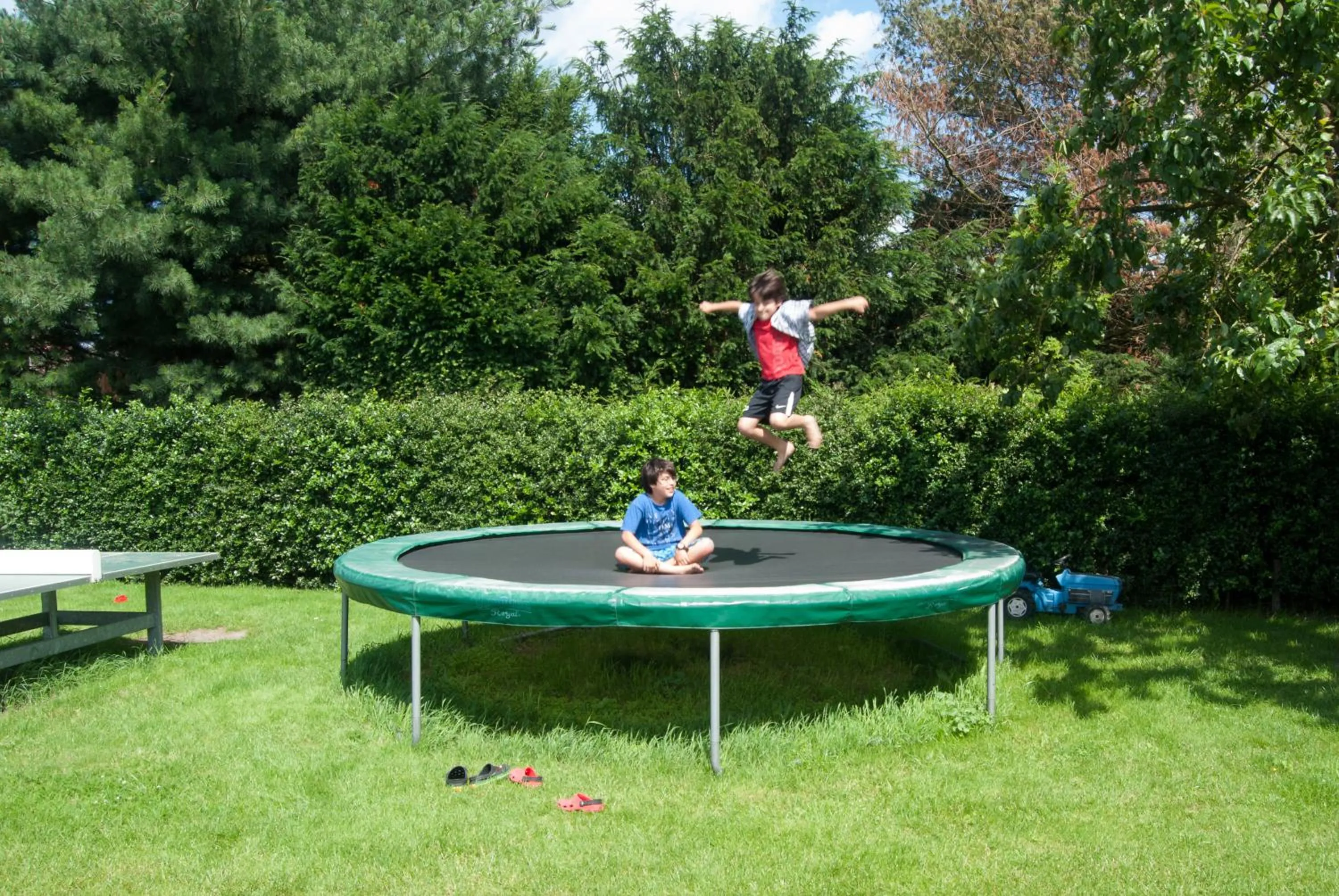 Activities in De Martiene Plats - Bed & Breakfast