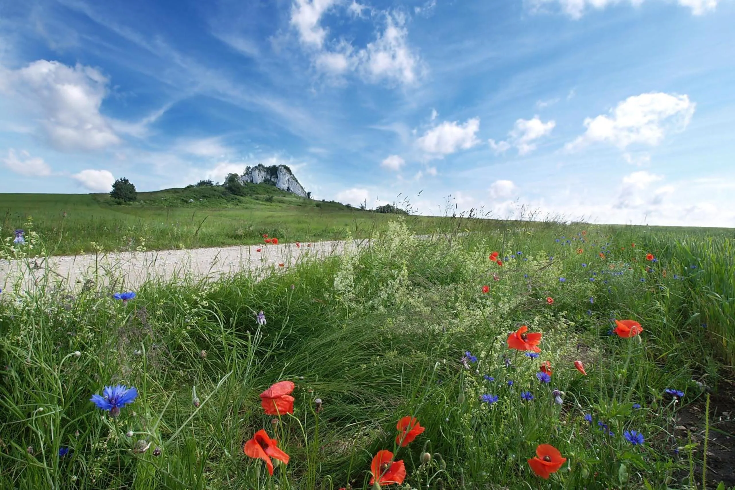 Natural landscape in Hotel Fajkier