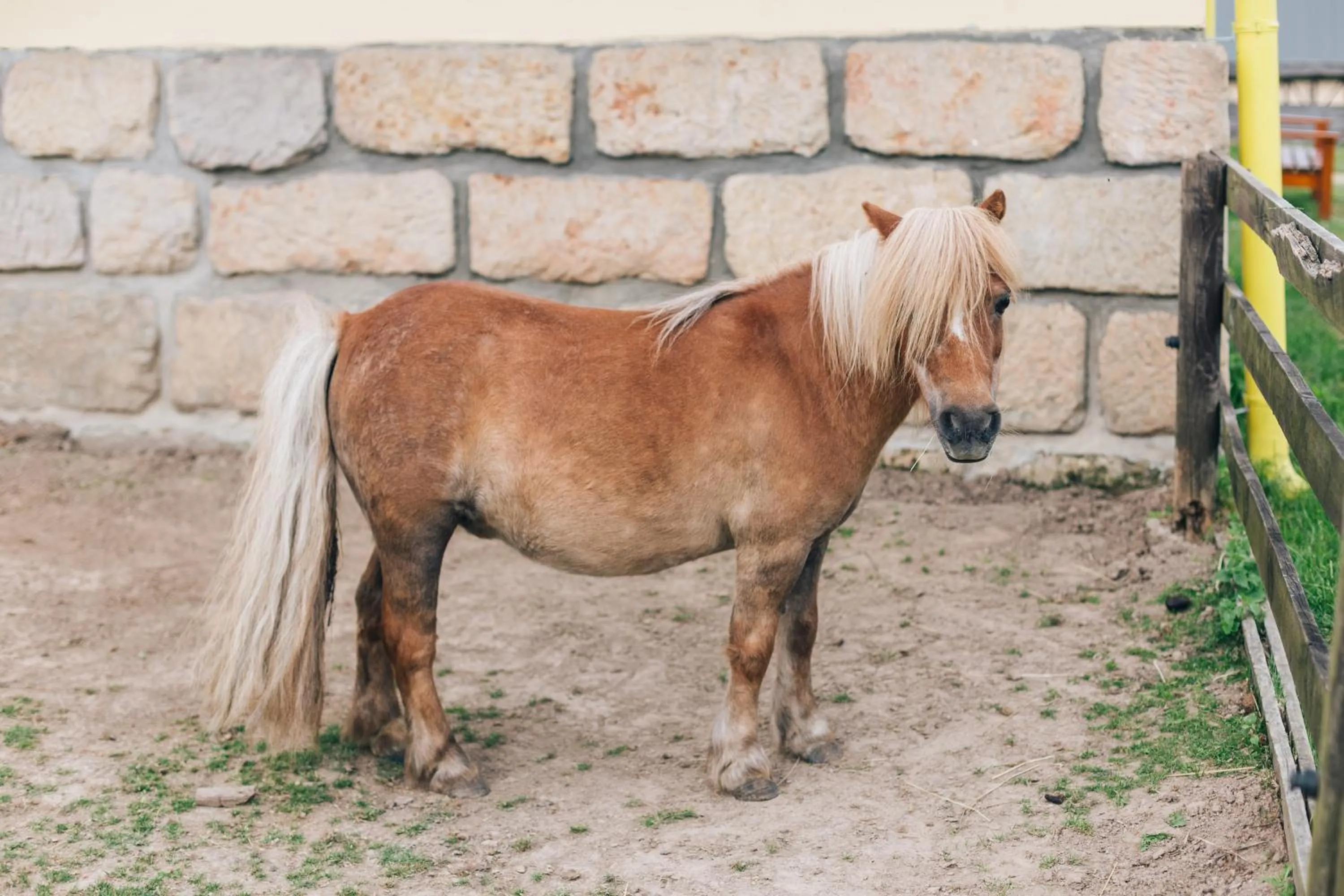 Day in Resort Malevil