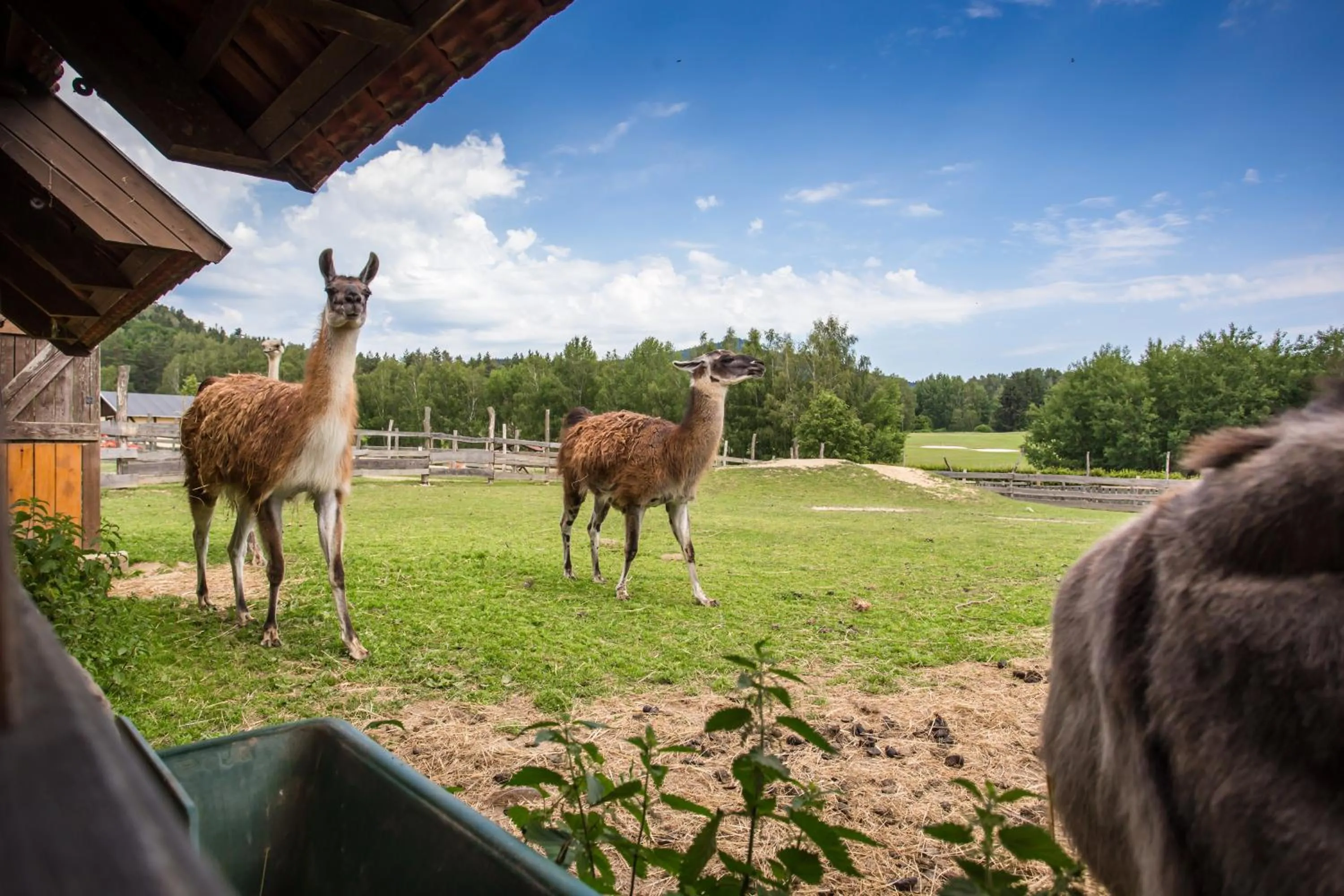 Facade/entrance in Resort Malevil