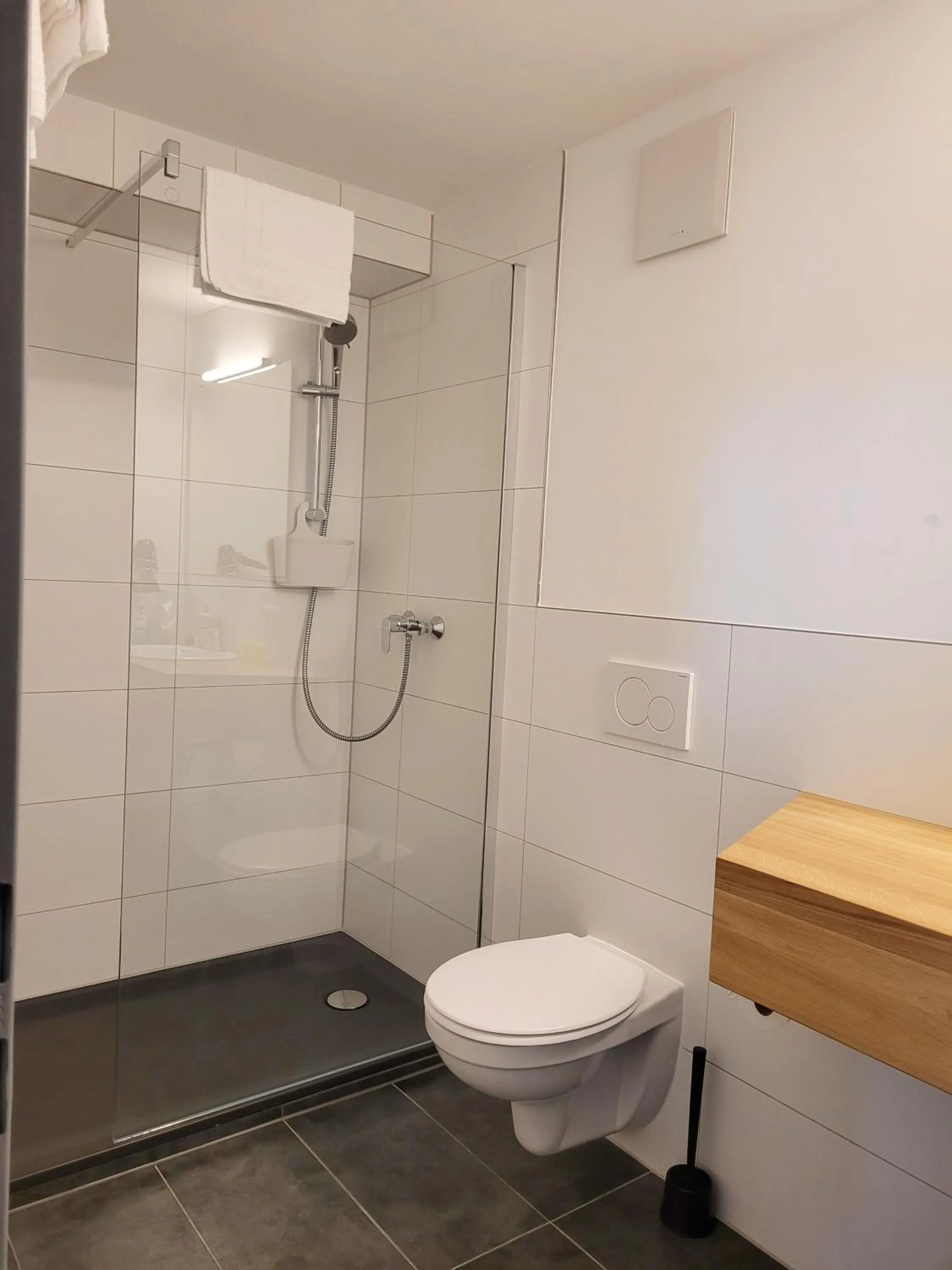 Shower in Hotel Demling