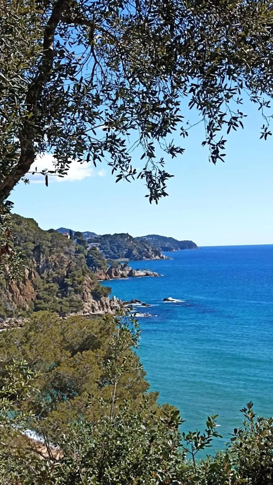 Natural landscape in Daro Apartments