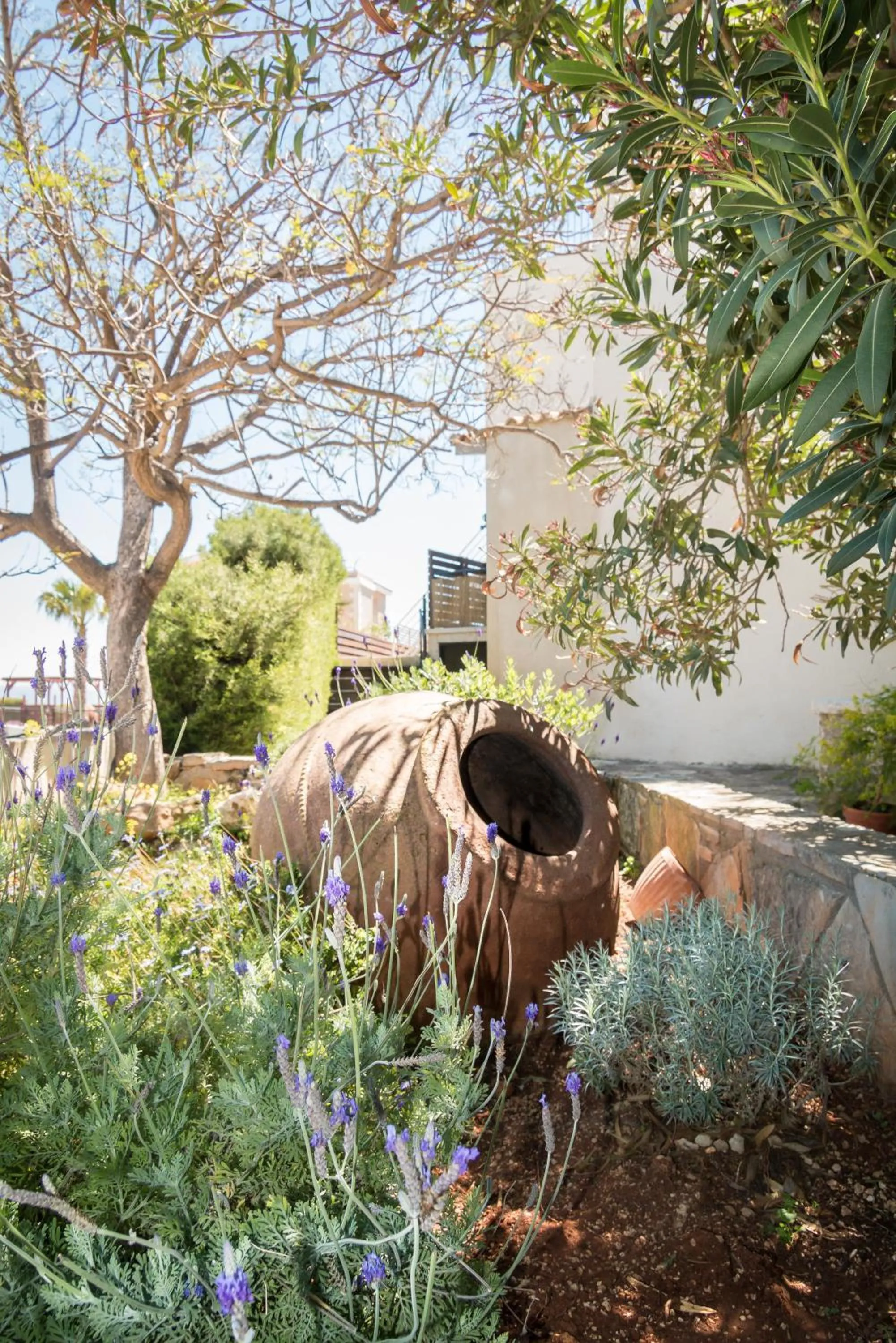 Garden in Hill View Hotel Apartments