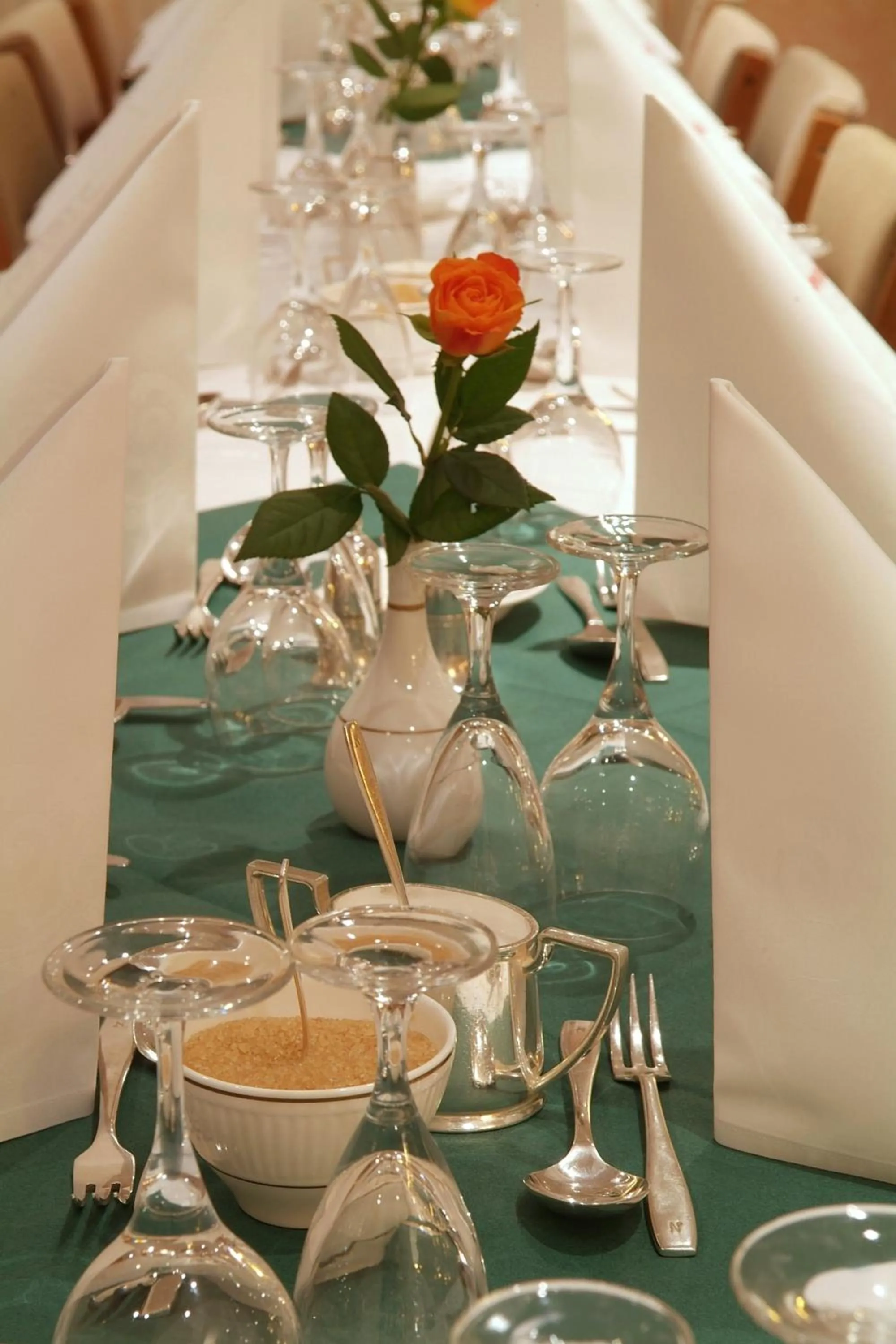 Banquet/Function facilities in Saxonville Hotel