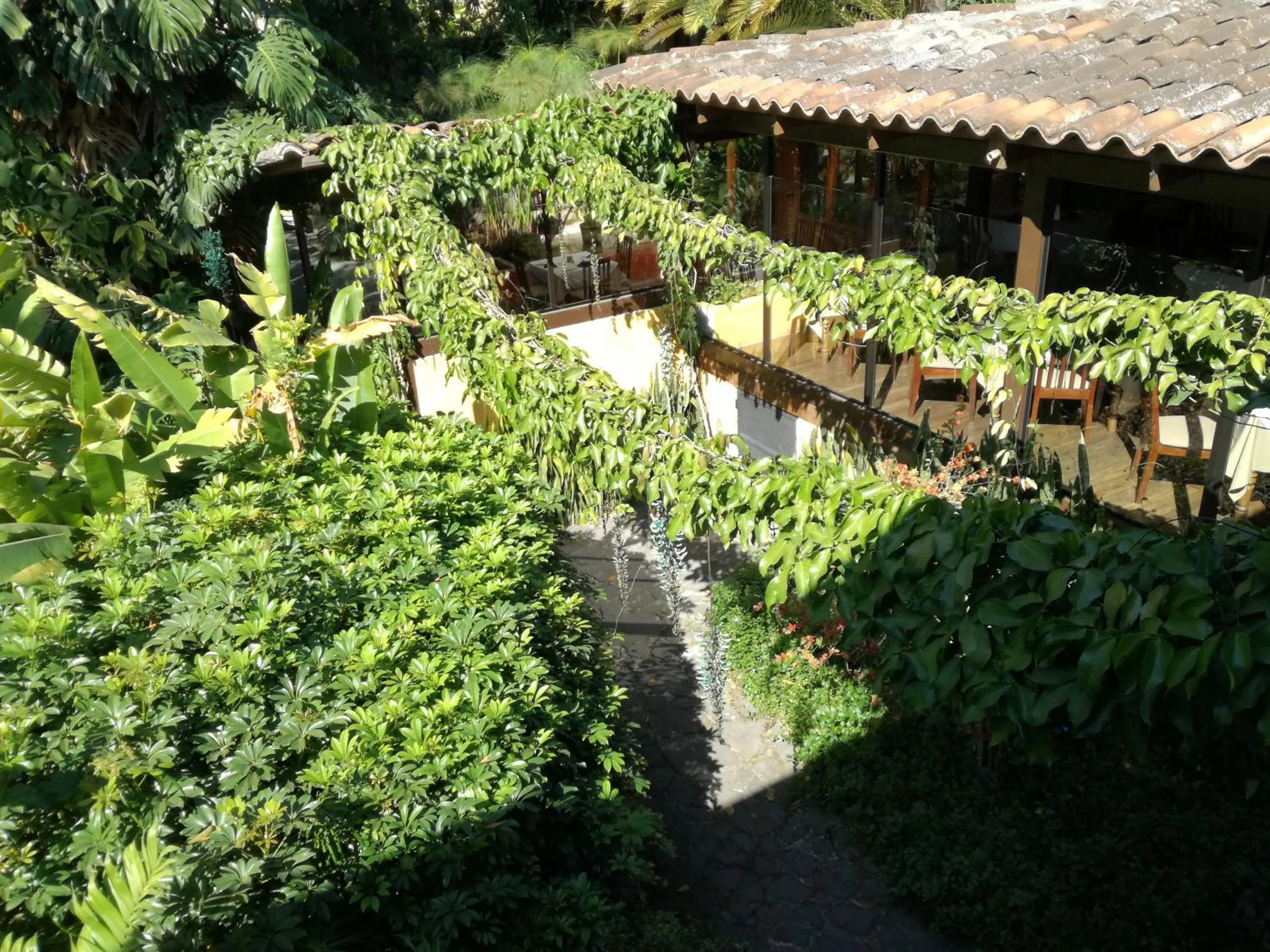 On site in Hotel Las Farolas