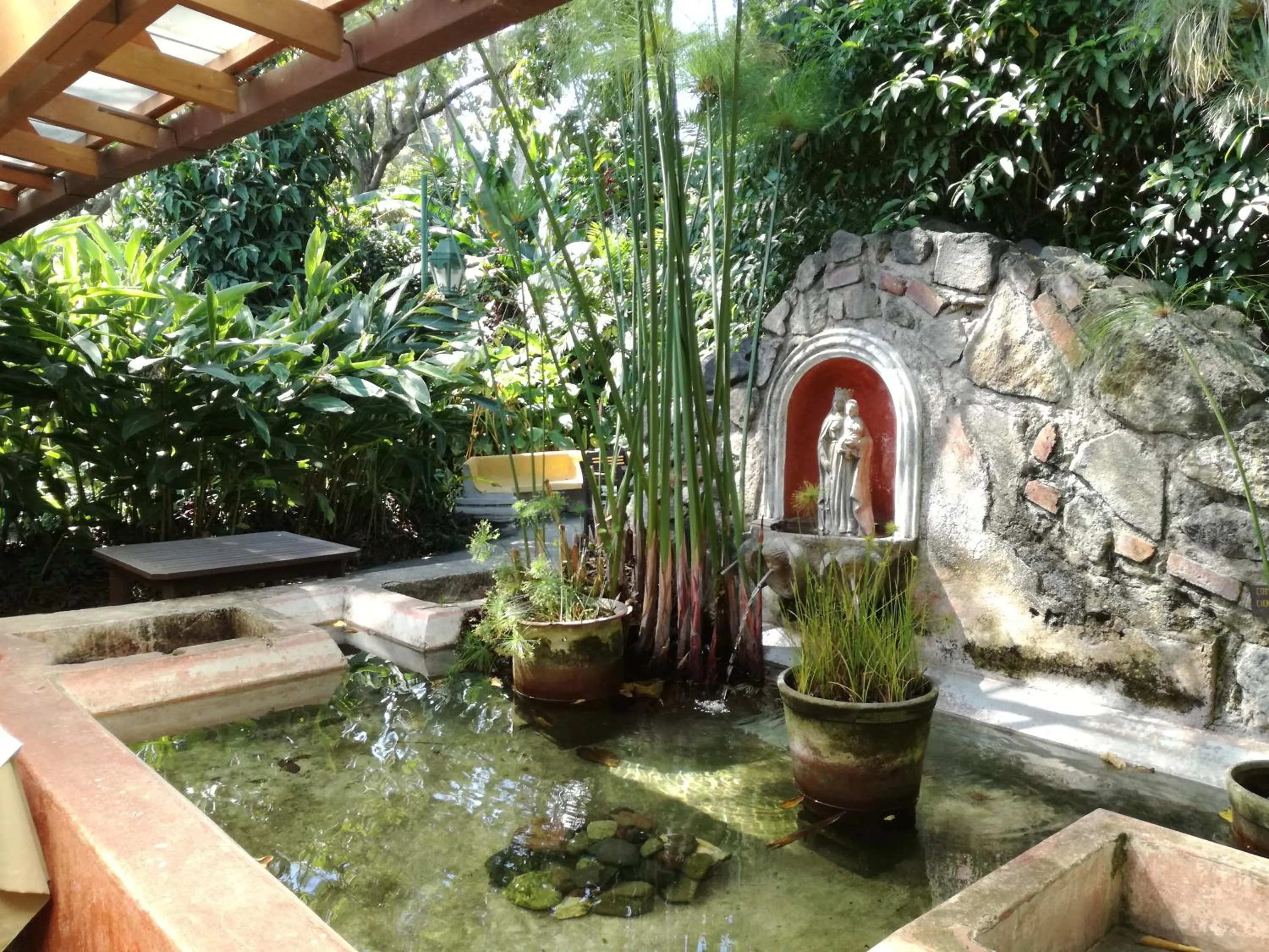 Garden in Hotel Las Farolas