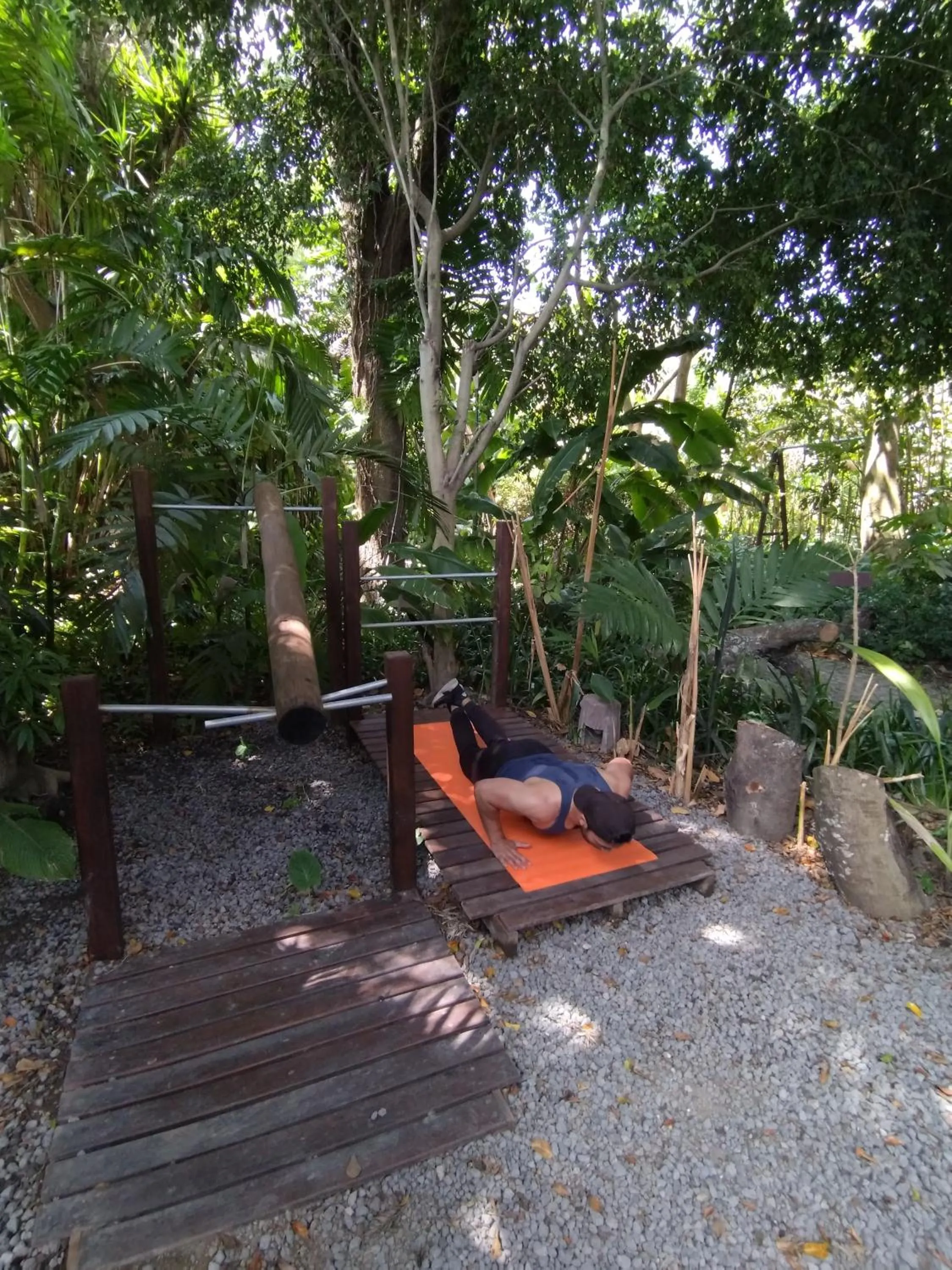 Garden in Hotel Las Farolas