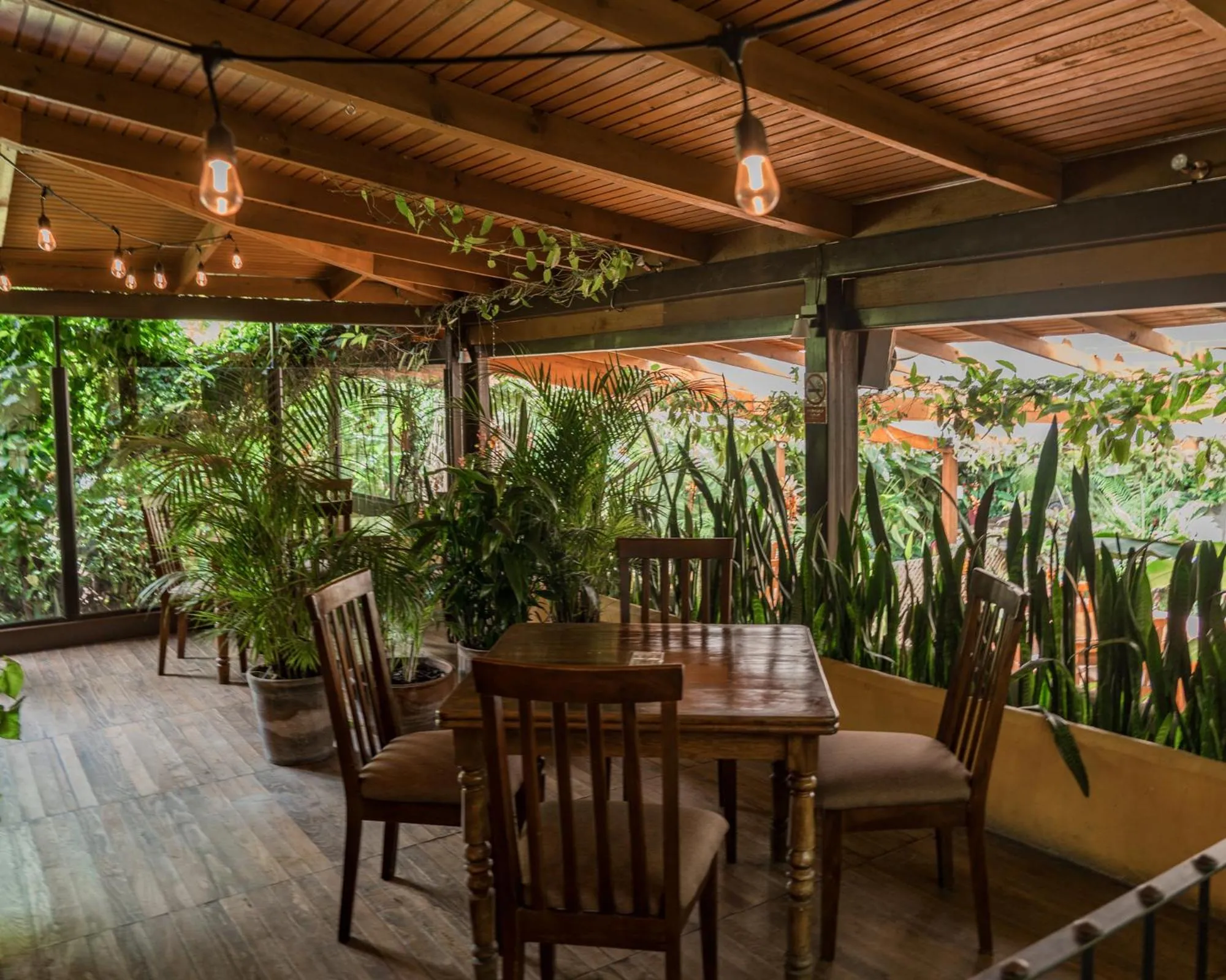 Restaurant/places to eat in Hotel Las Farolas