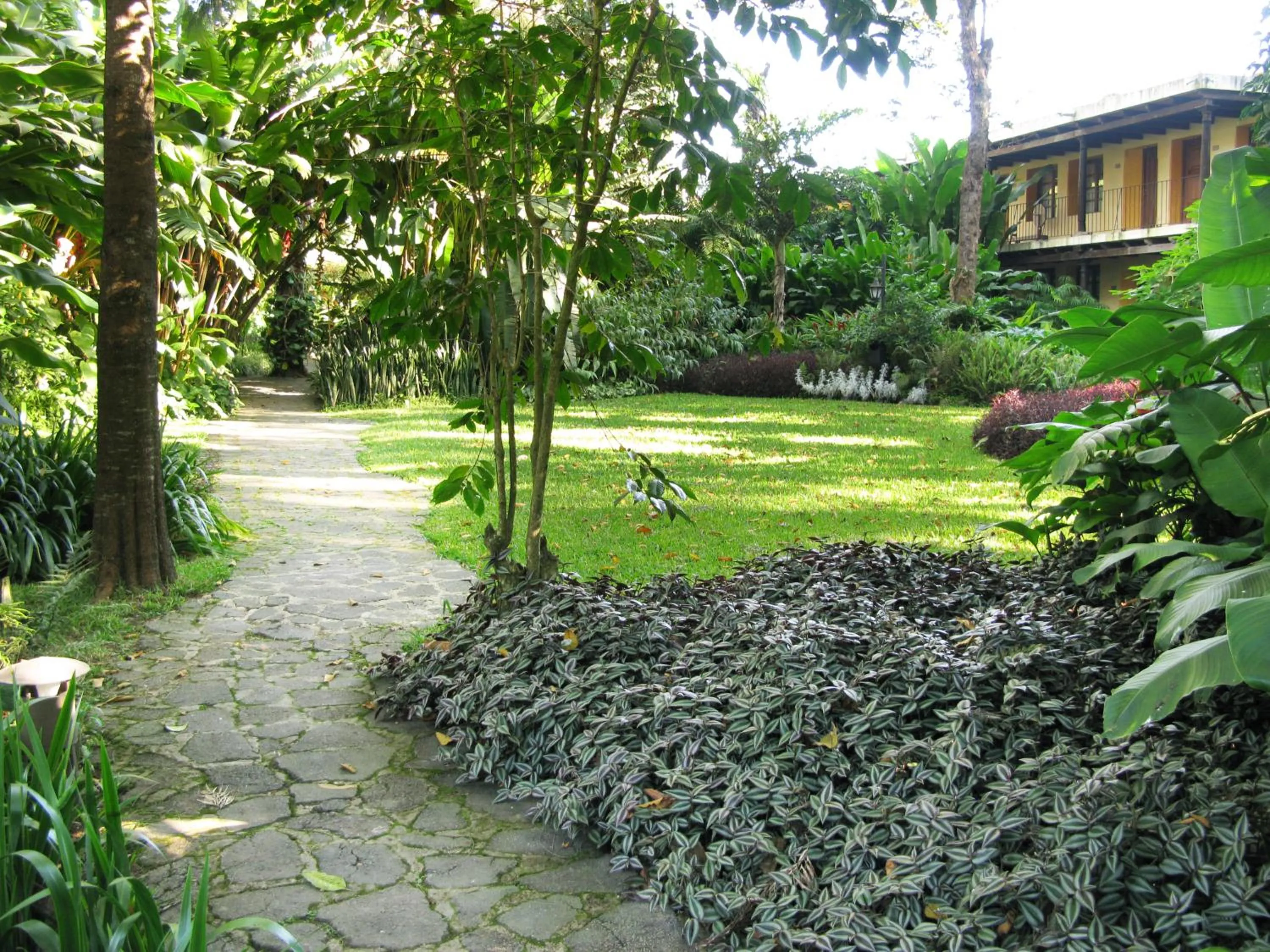 Garden in Hotel Las Farolas