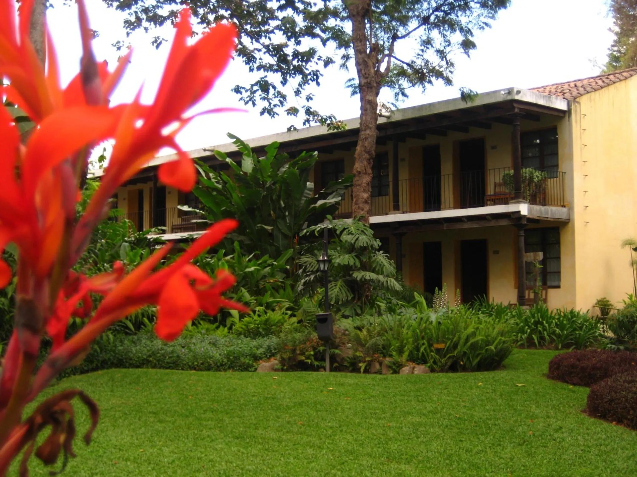 Garden in Hotel Las Farolas