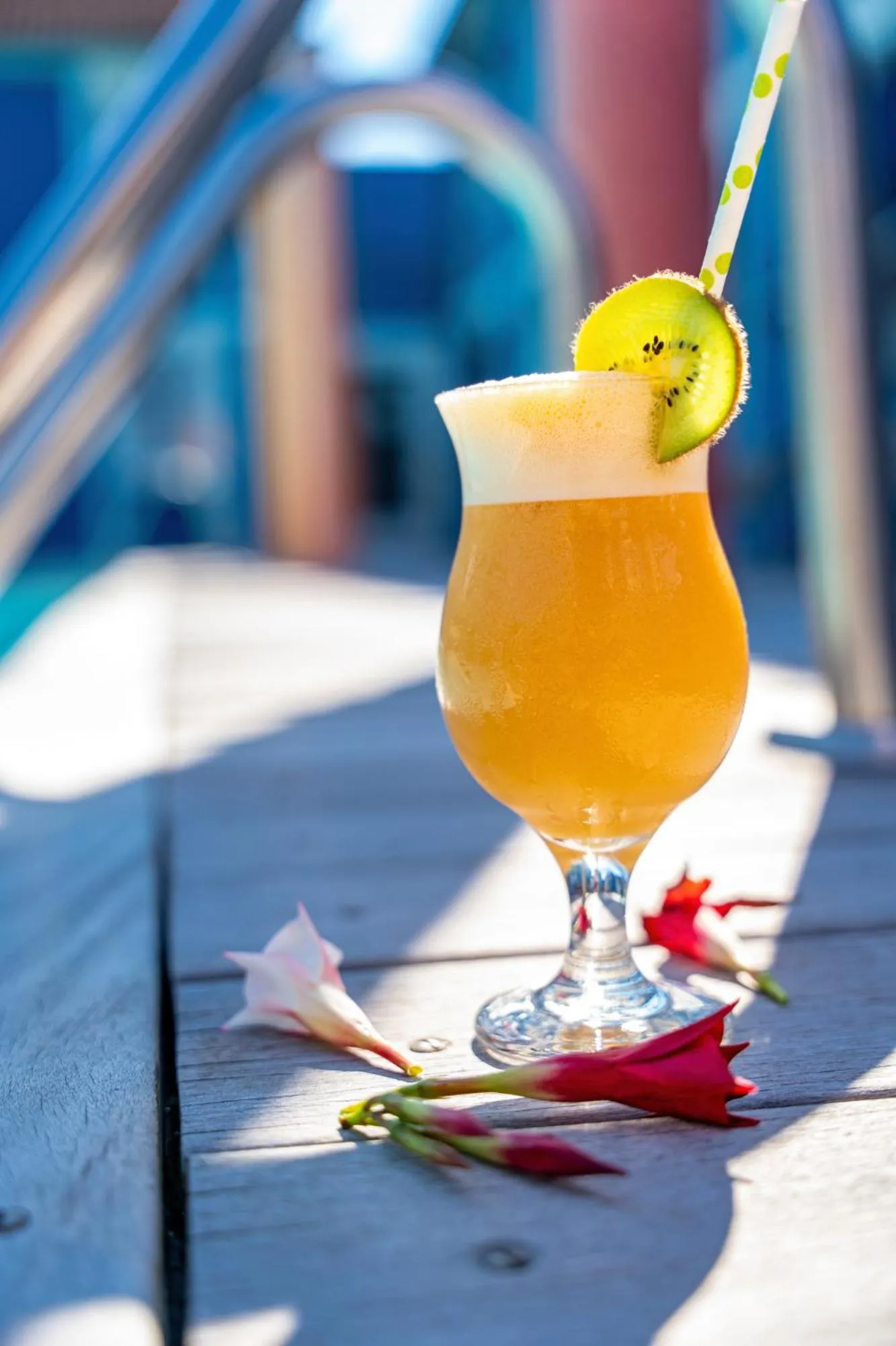 Lounge or bar in Hotel Restaurant Argos, Strasbourg Nord