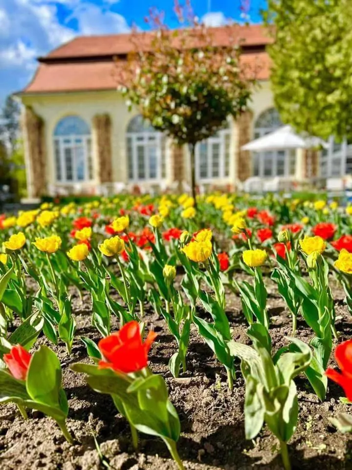 View (from property/room) in Palatul Brukenthal Avrig