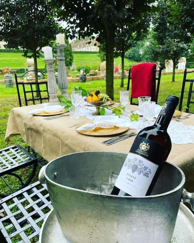 Patio in Palatul Brukenthal Avrig