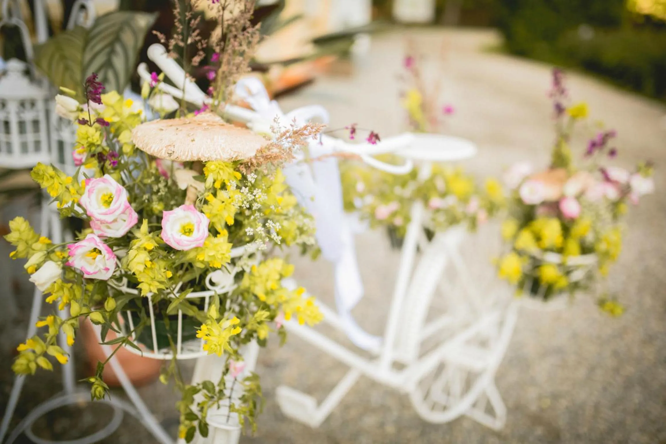 Natural landscape in Palatul Brukenthal Avrig