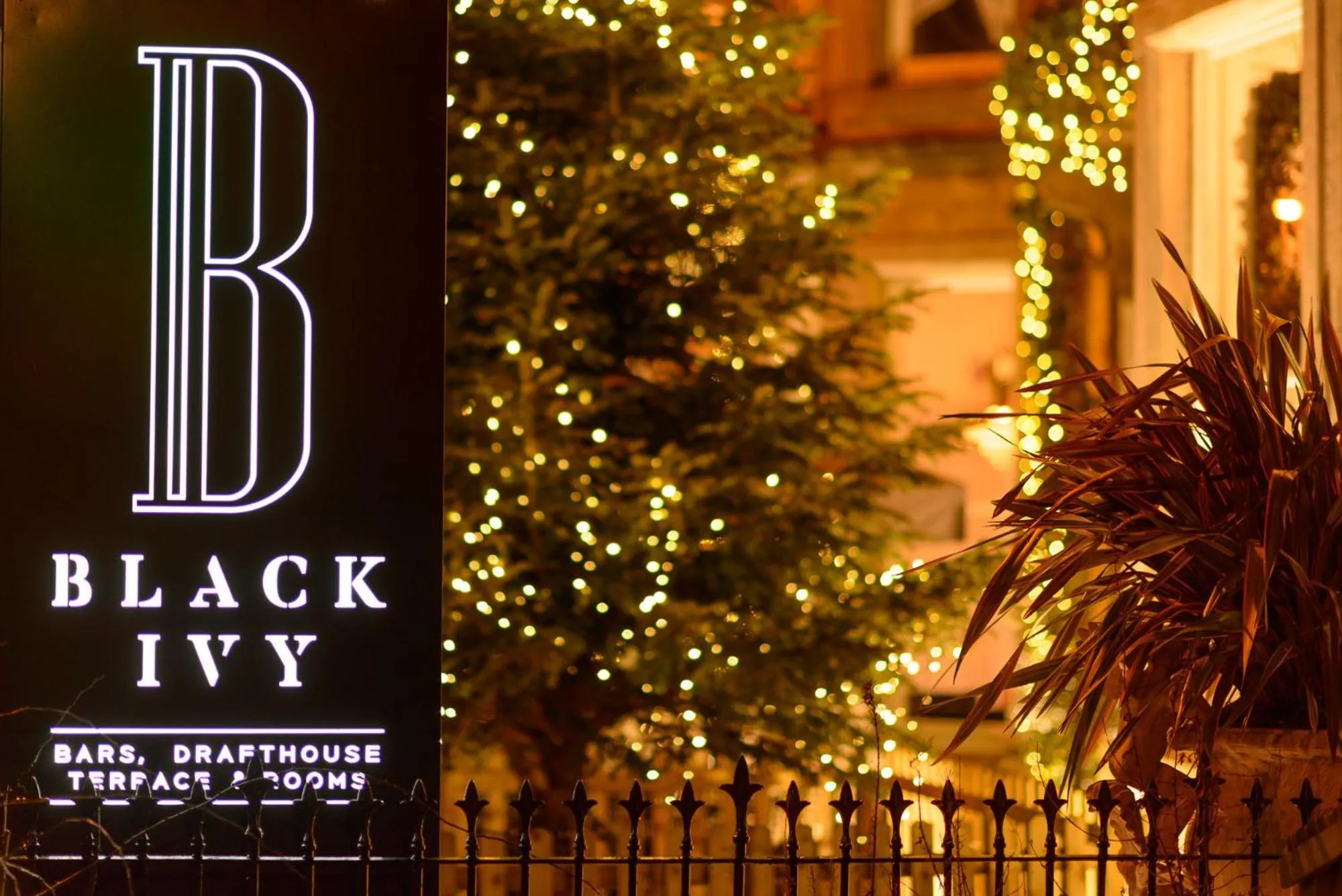 Facade/entrance in Black Ivy