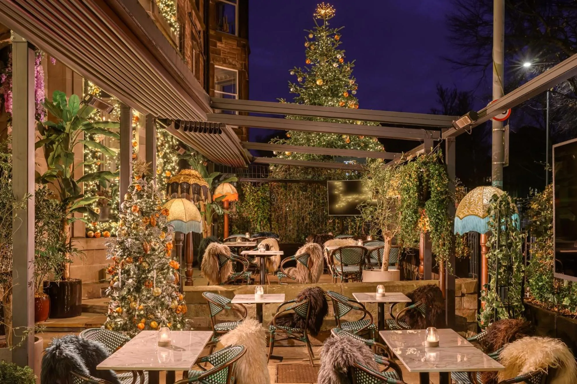 Restaurant/places to eat in Black Ivy