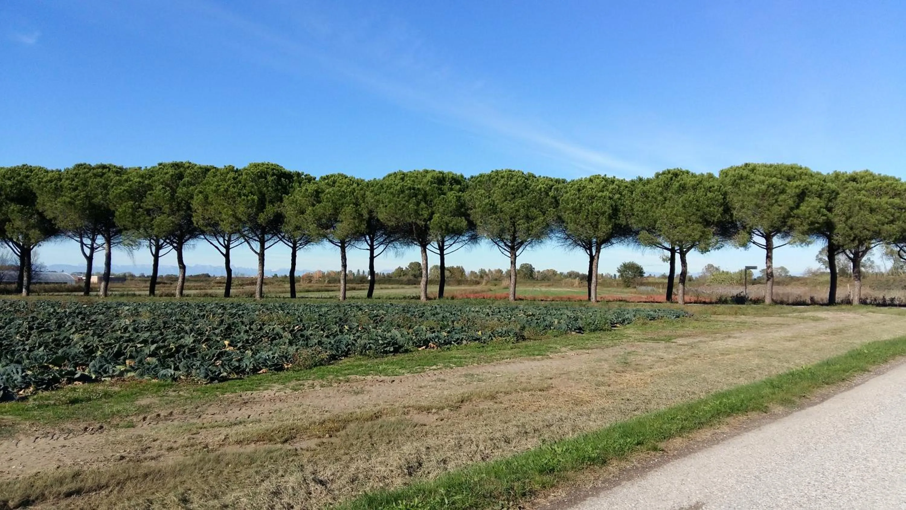 Hiking in Hotel Golf ***S