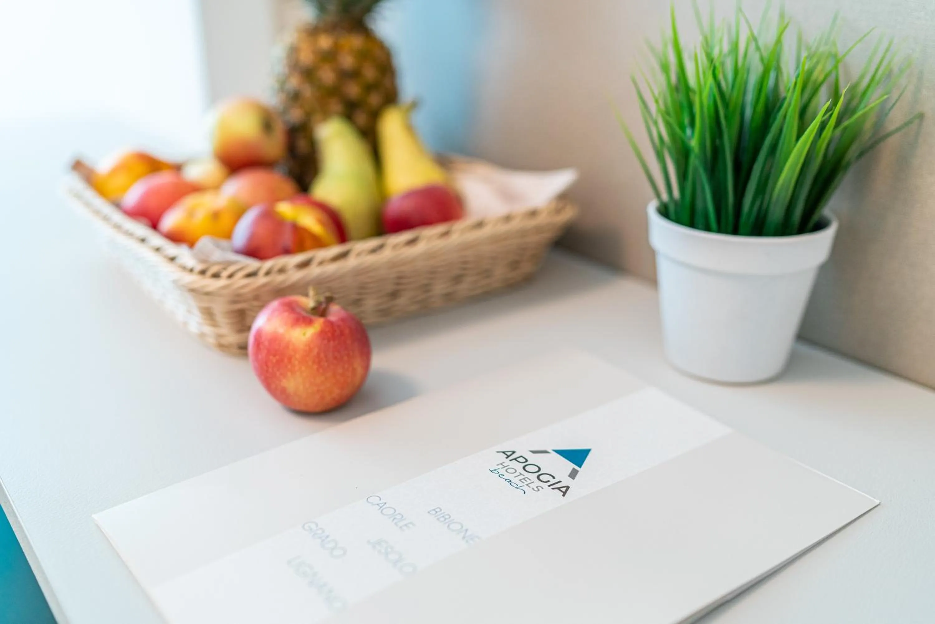 Beach in Hotel Pigalle