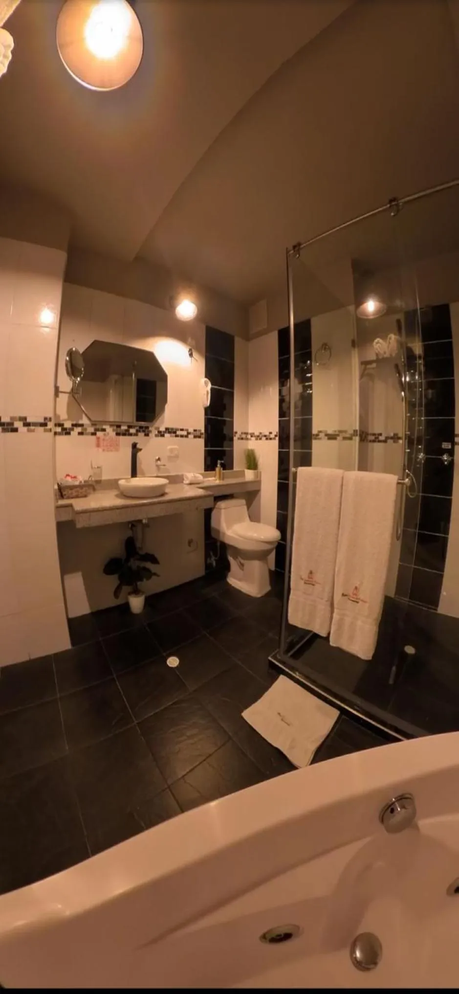 Shower in Hotel Quinta de Cabecera