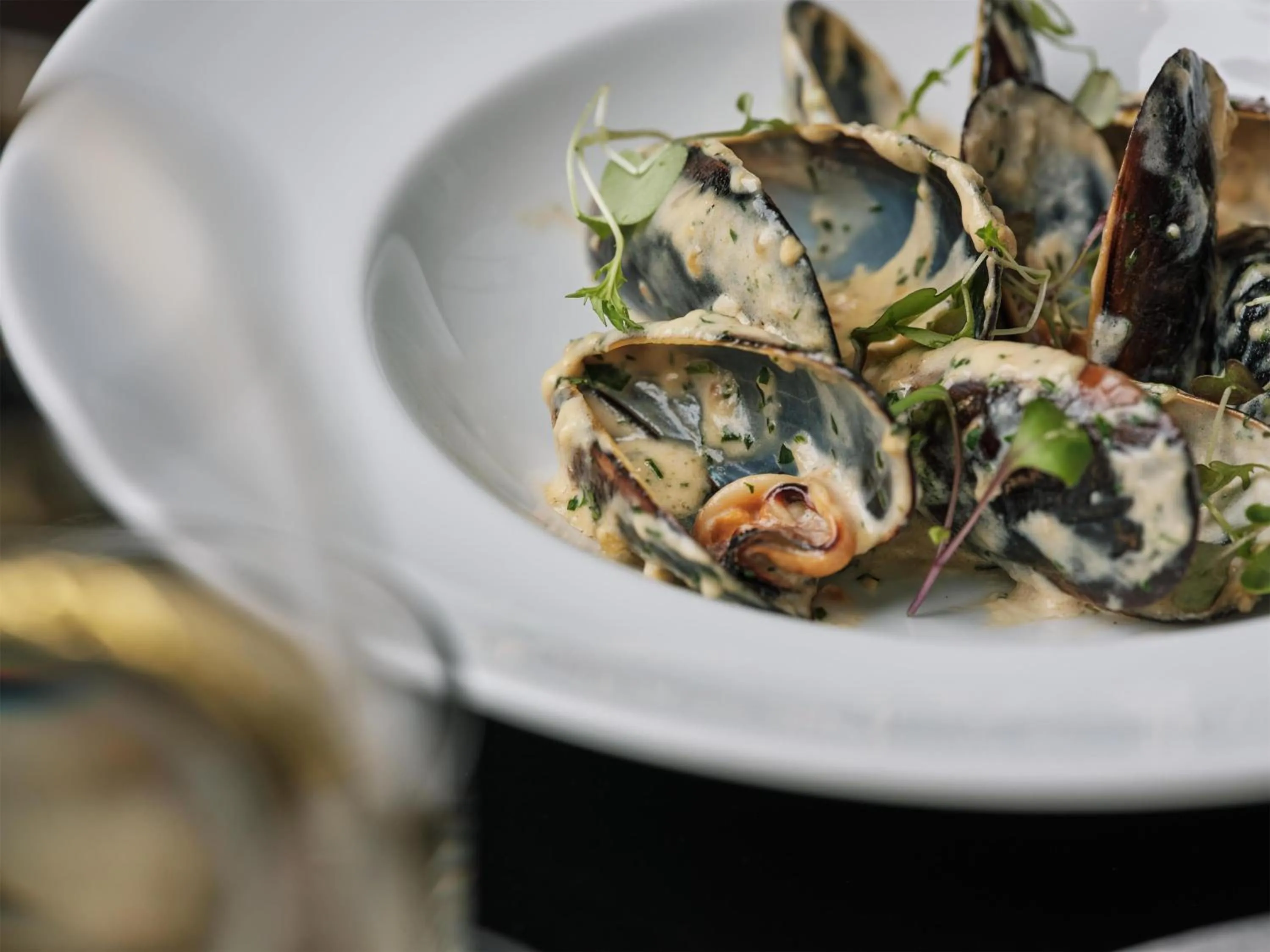 Restaurant/places to eat in Radisson On Flagstaff Gardens Melbourne