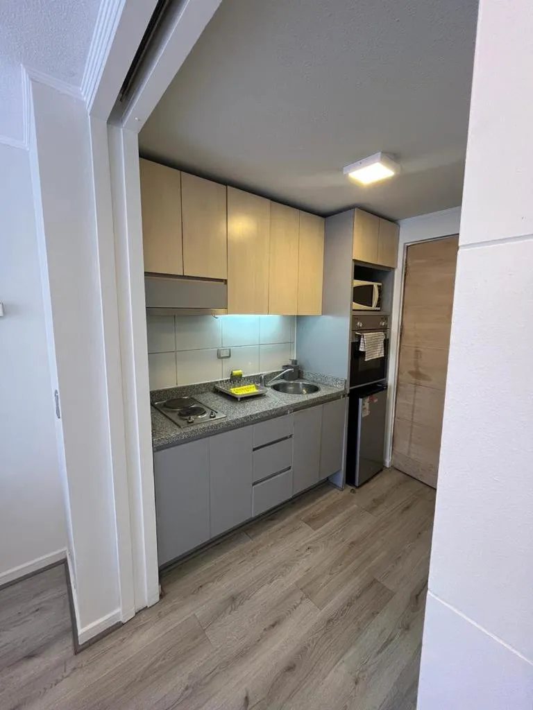 Kitchen or kitchenette in Apart Lyon Suite