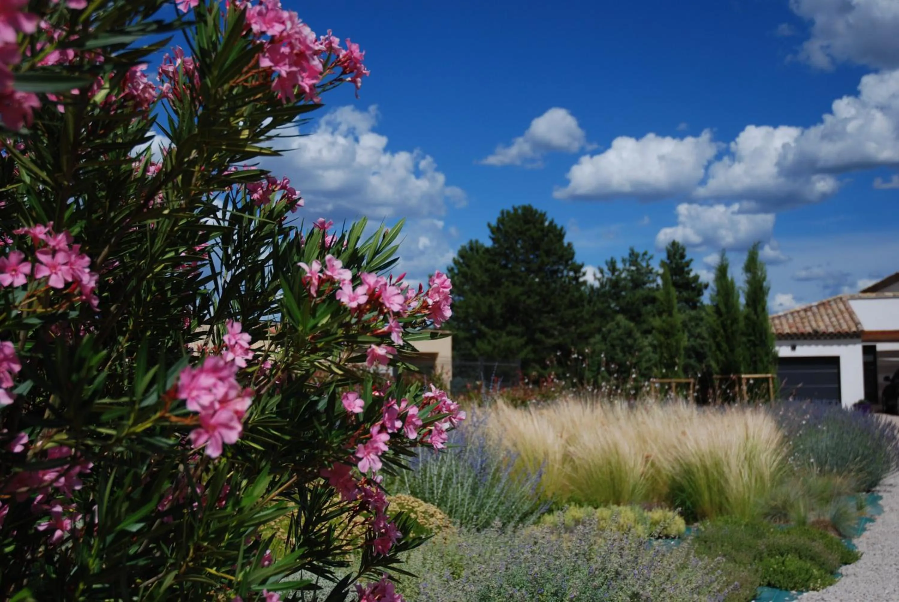 Facade/entrance in Villa Otilia-Bed and Breakfast-Chambres d'hôtes en Provence